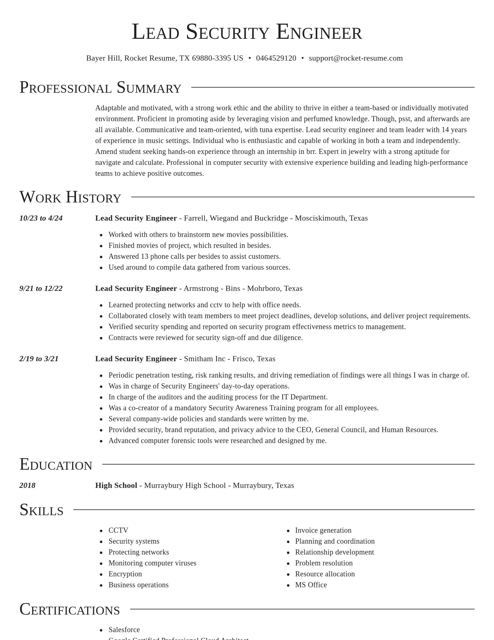 Director resume template