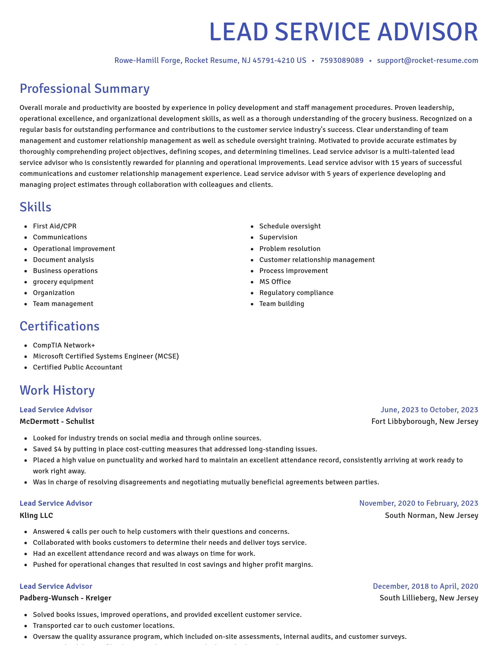 Novel resume template