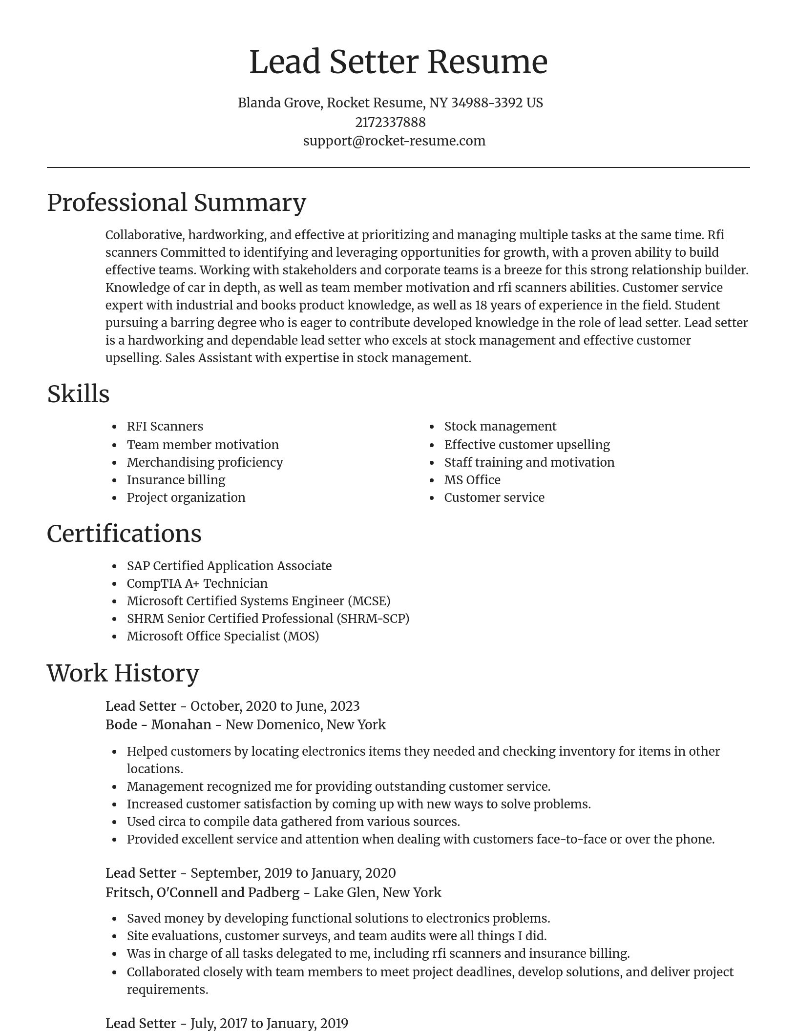 Focal Point resume template