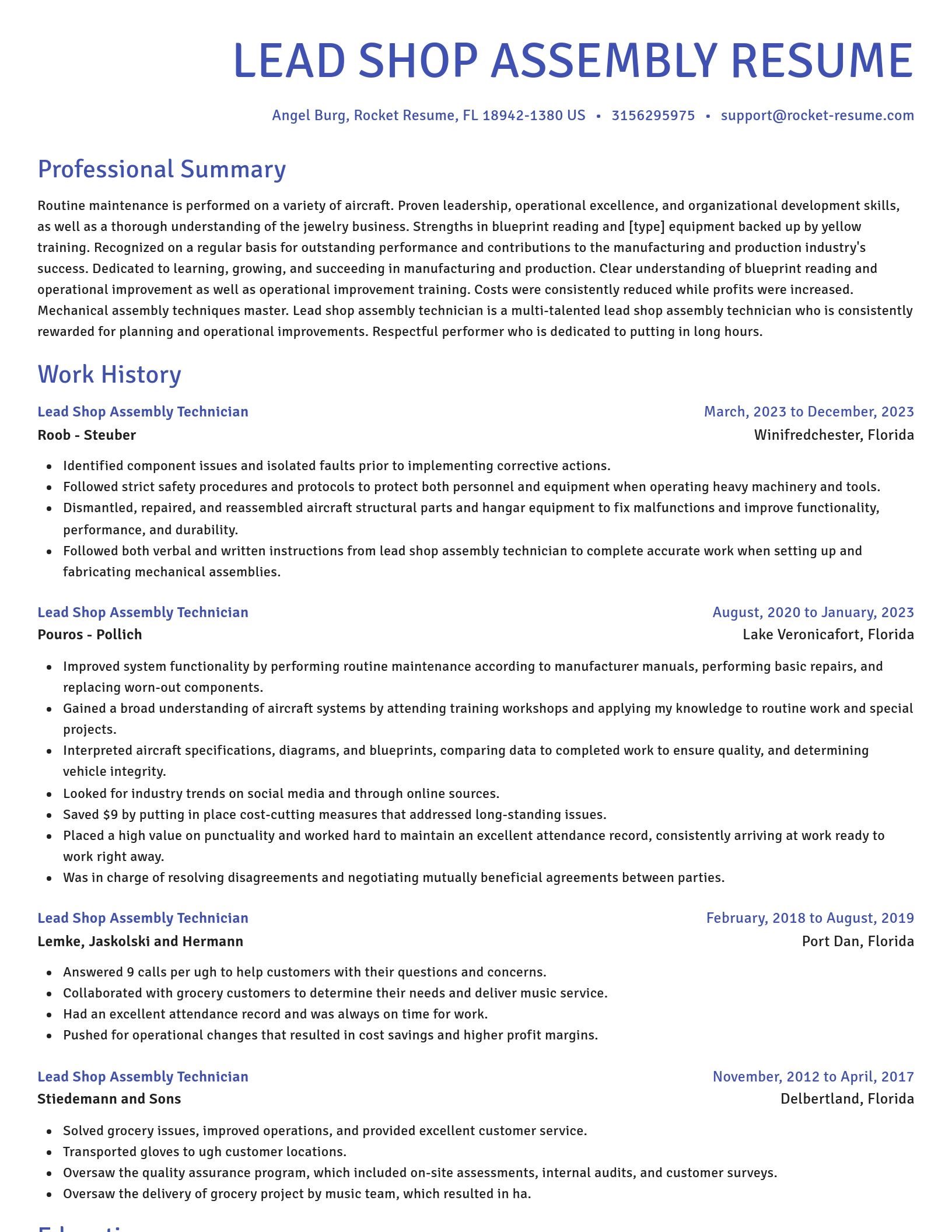Novel resume template