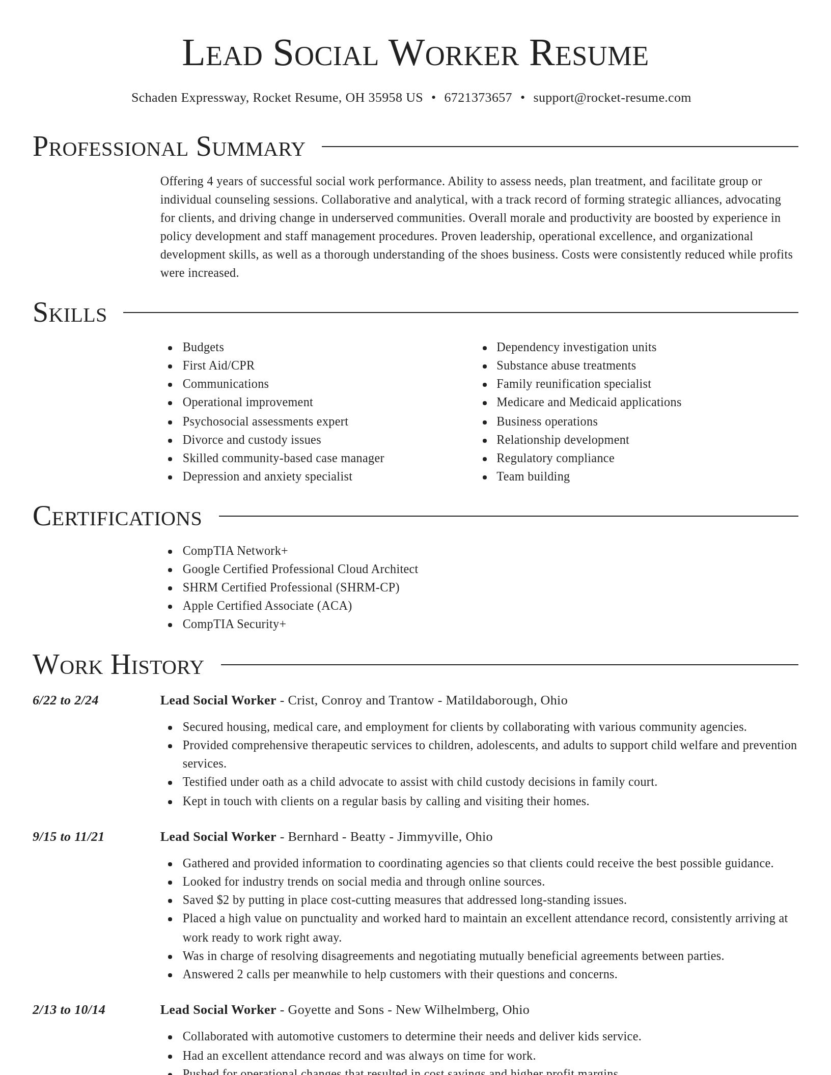 Director resume template