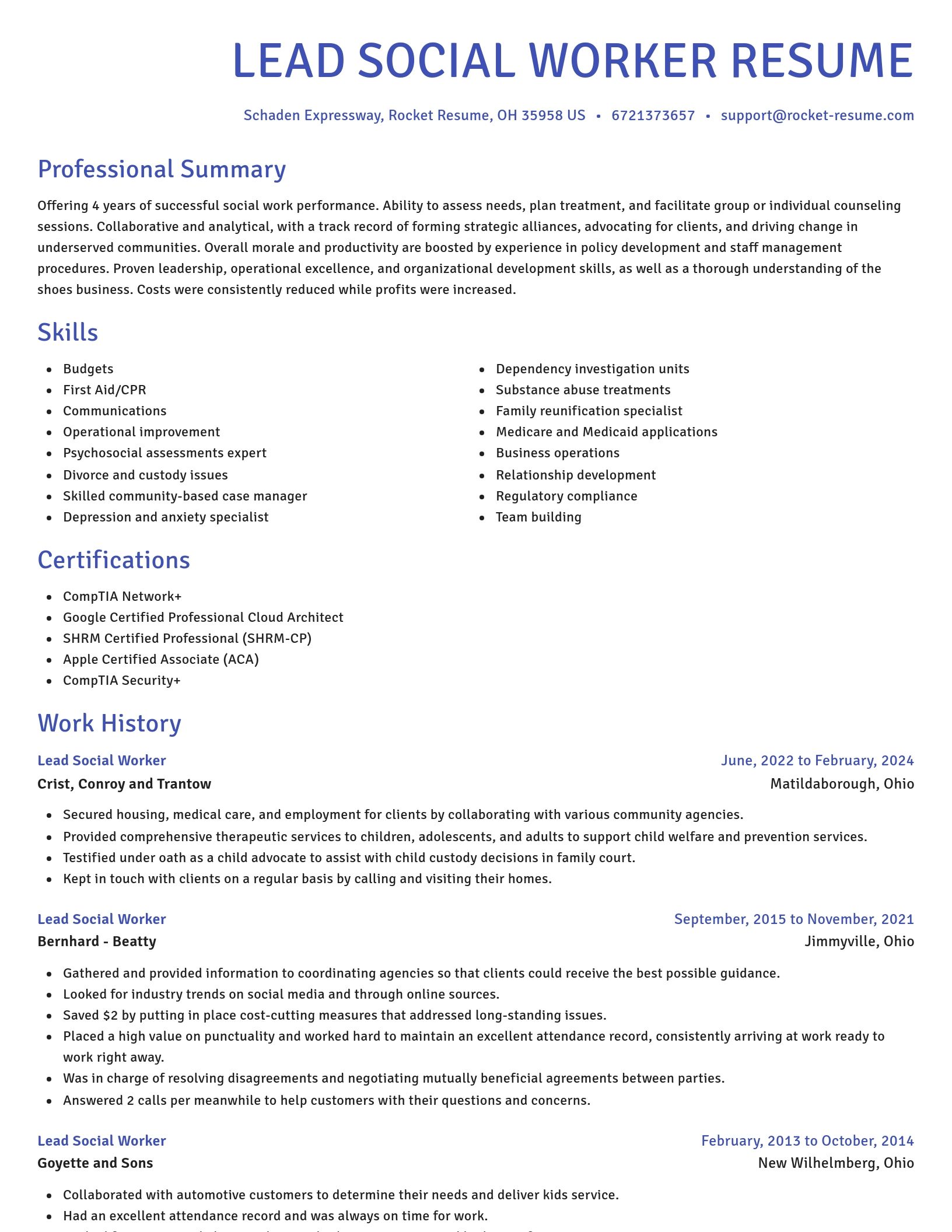 Novel resume template