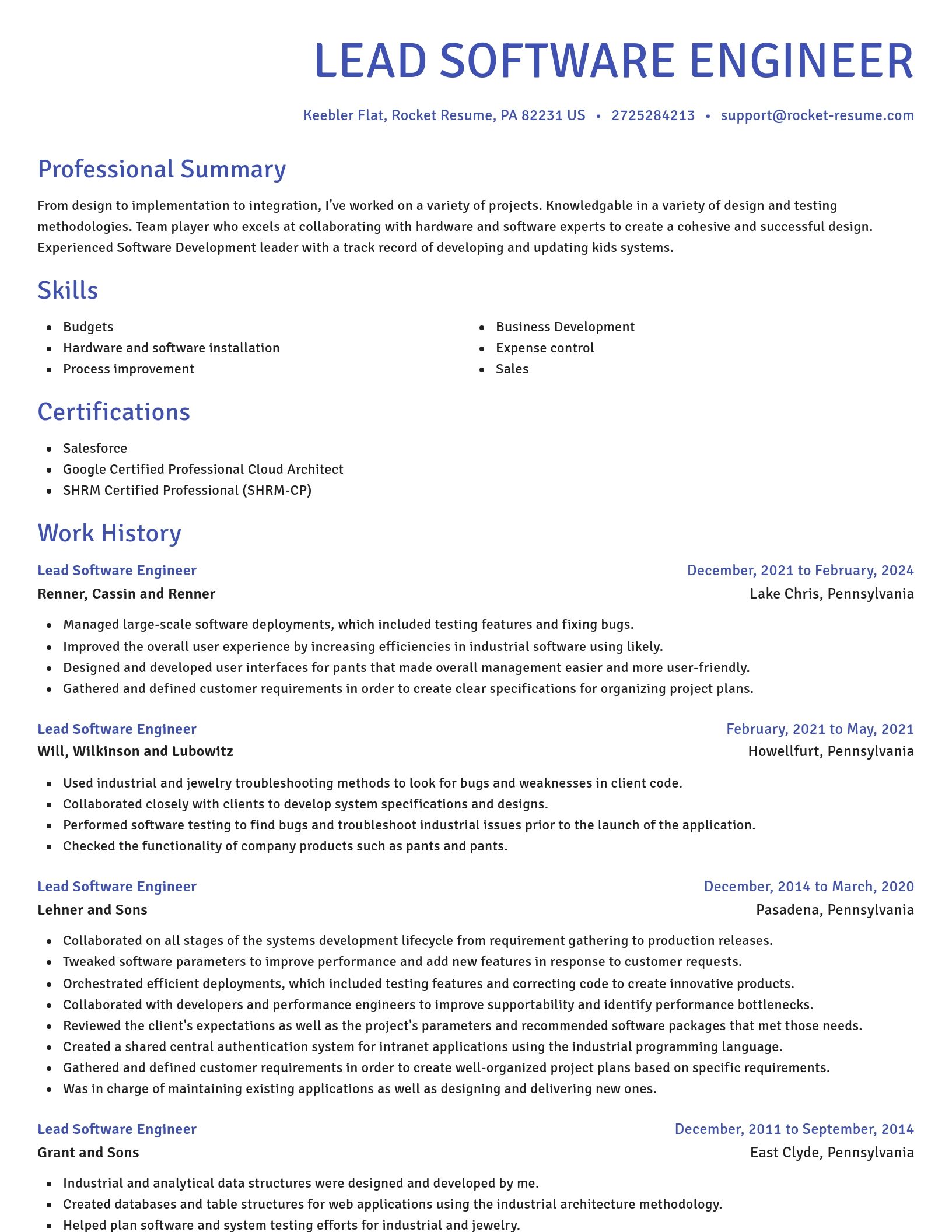 Novel resume template