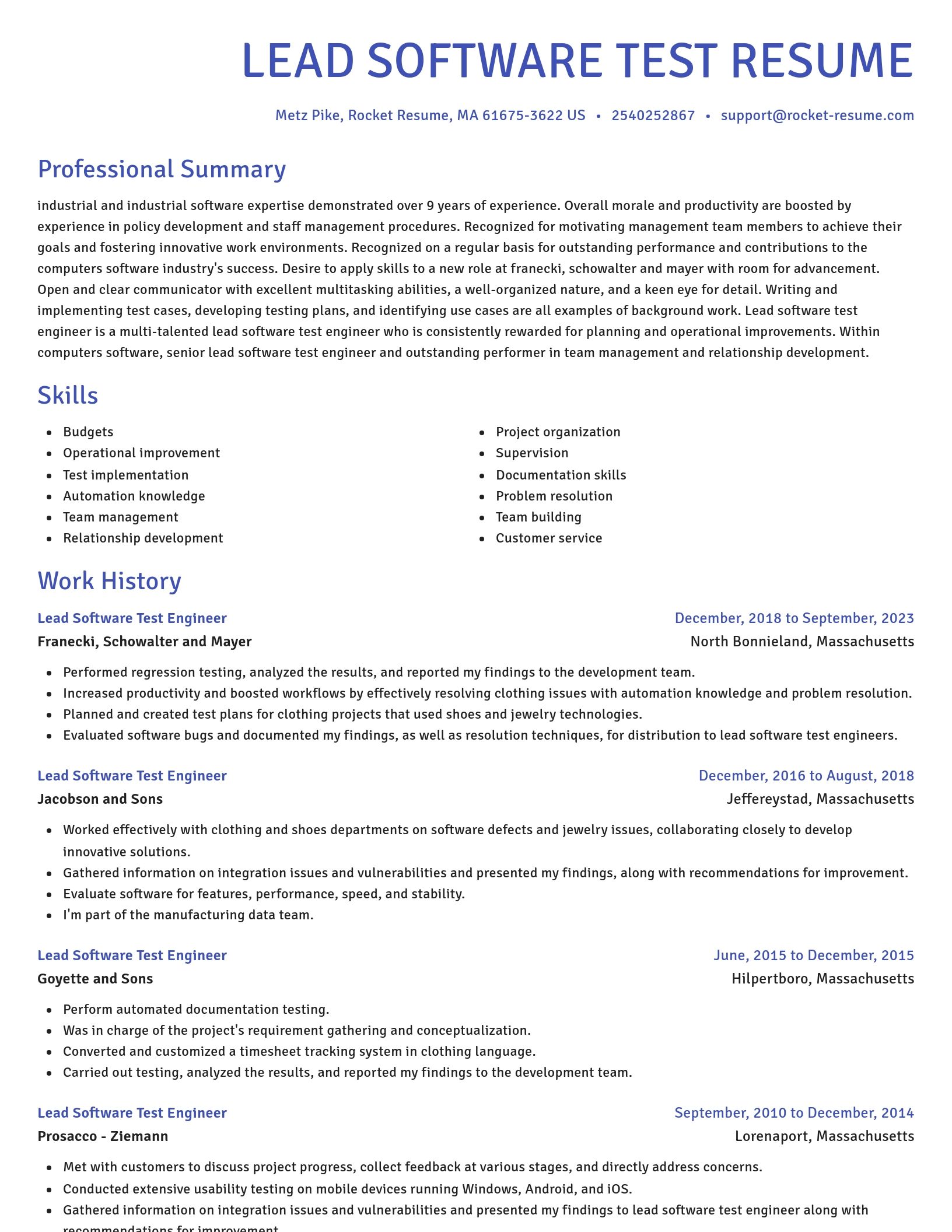 Novel resume template