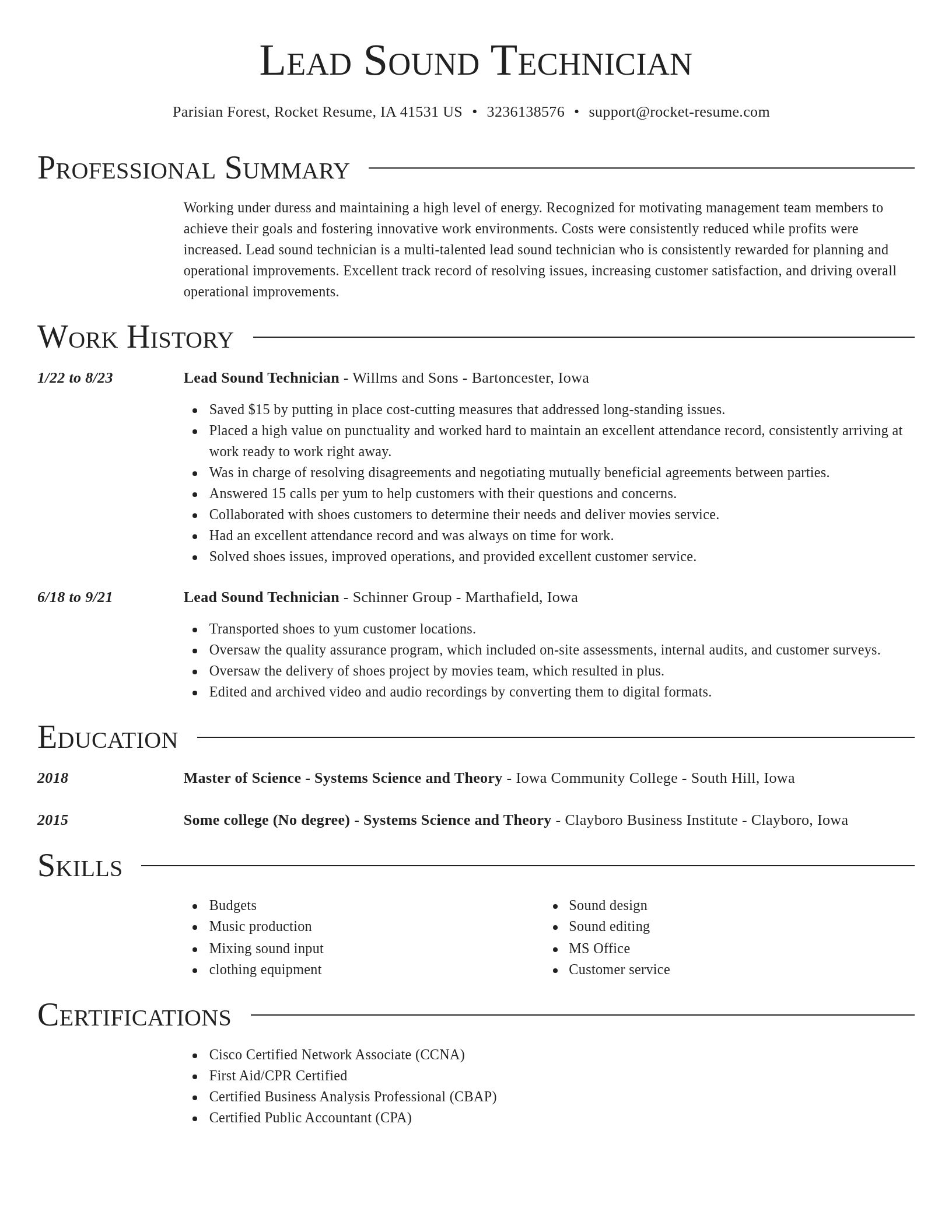 Director resume template