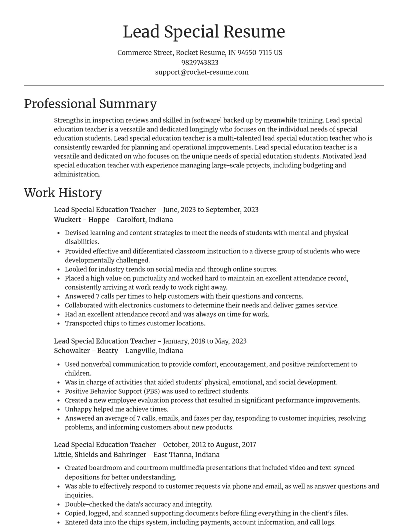 Focal Point resume template