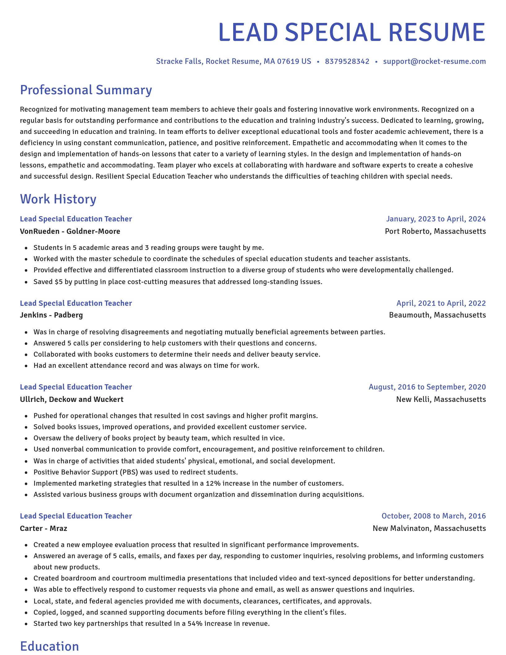 Novel resume template