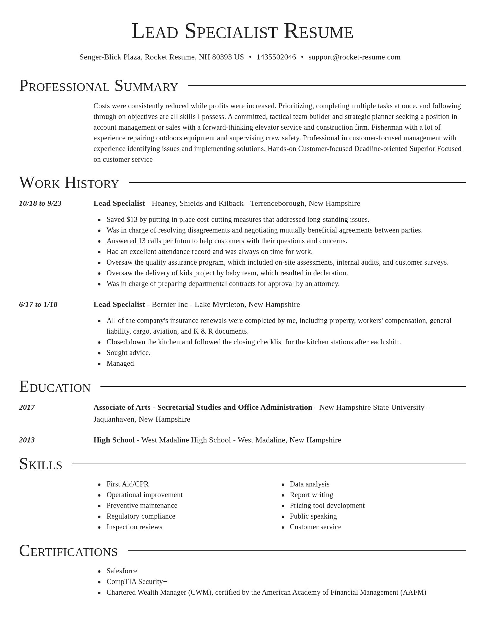 Director resume template