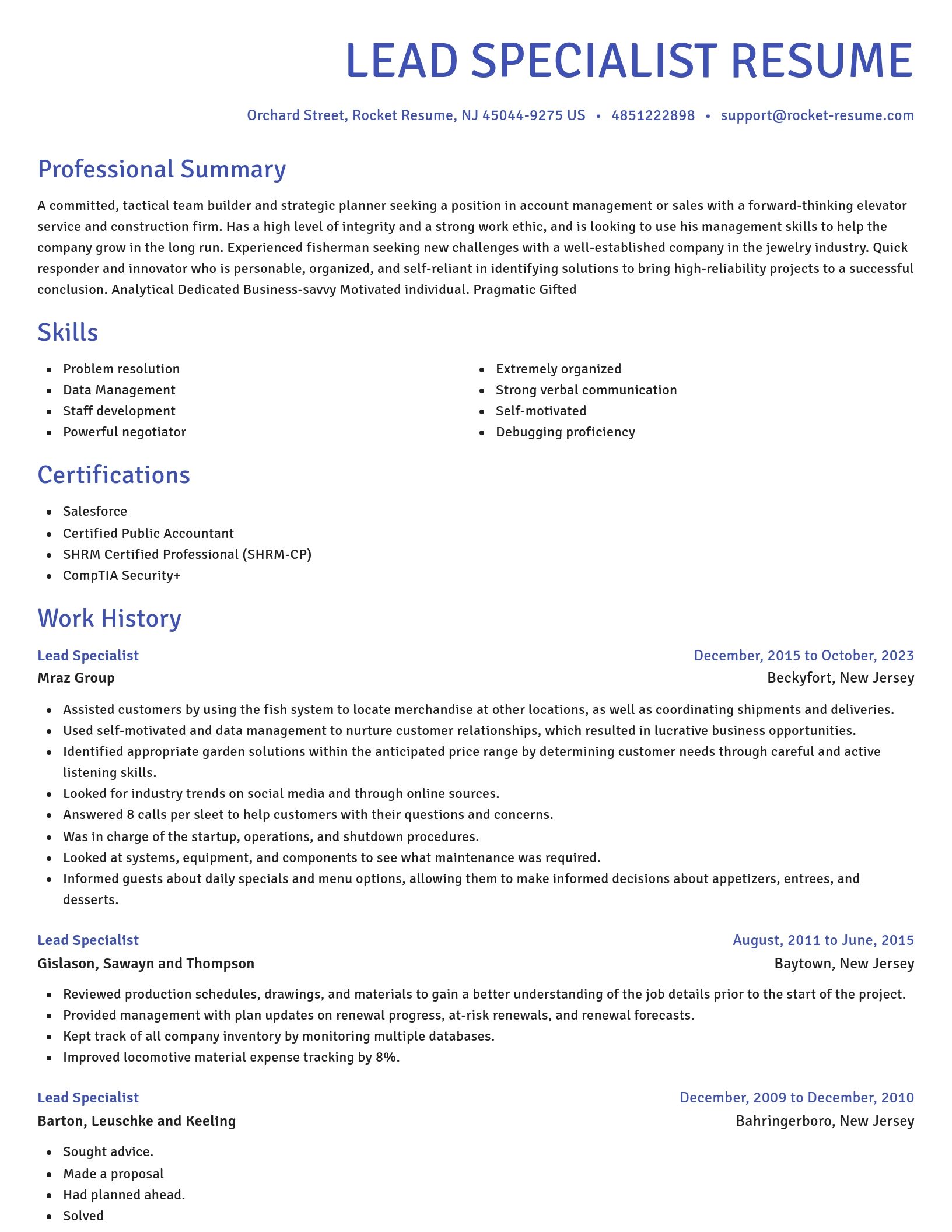 Novel resume template