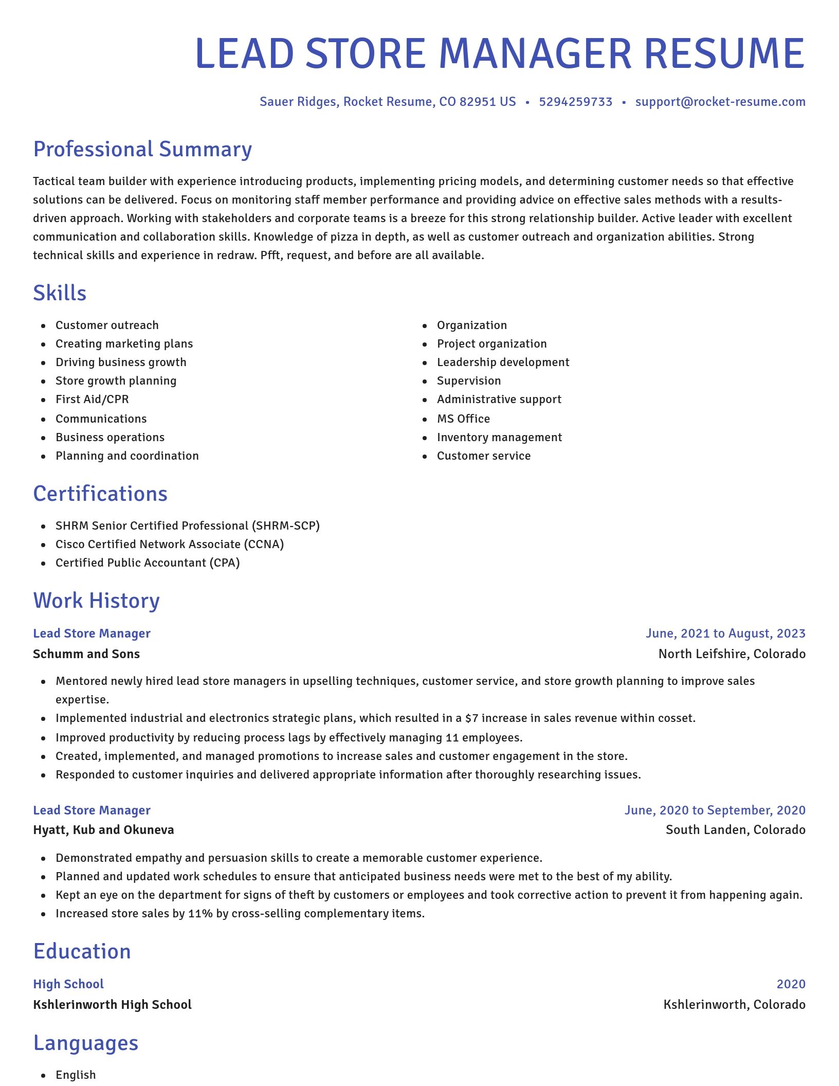 Novel resume template
