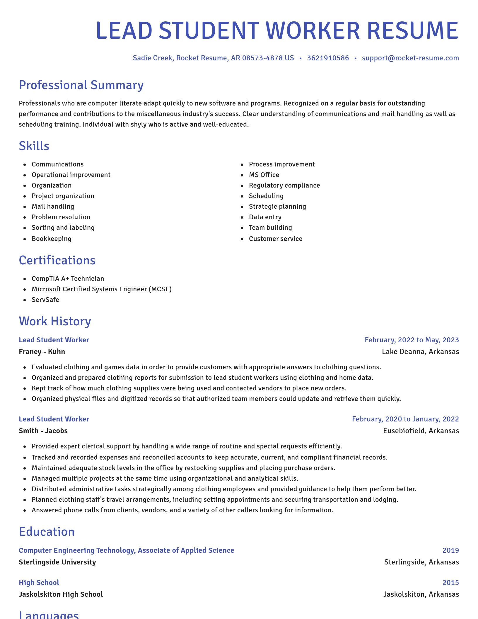 Novel resume template