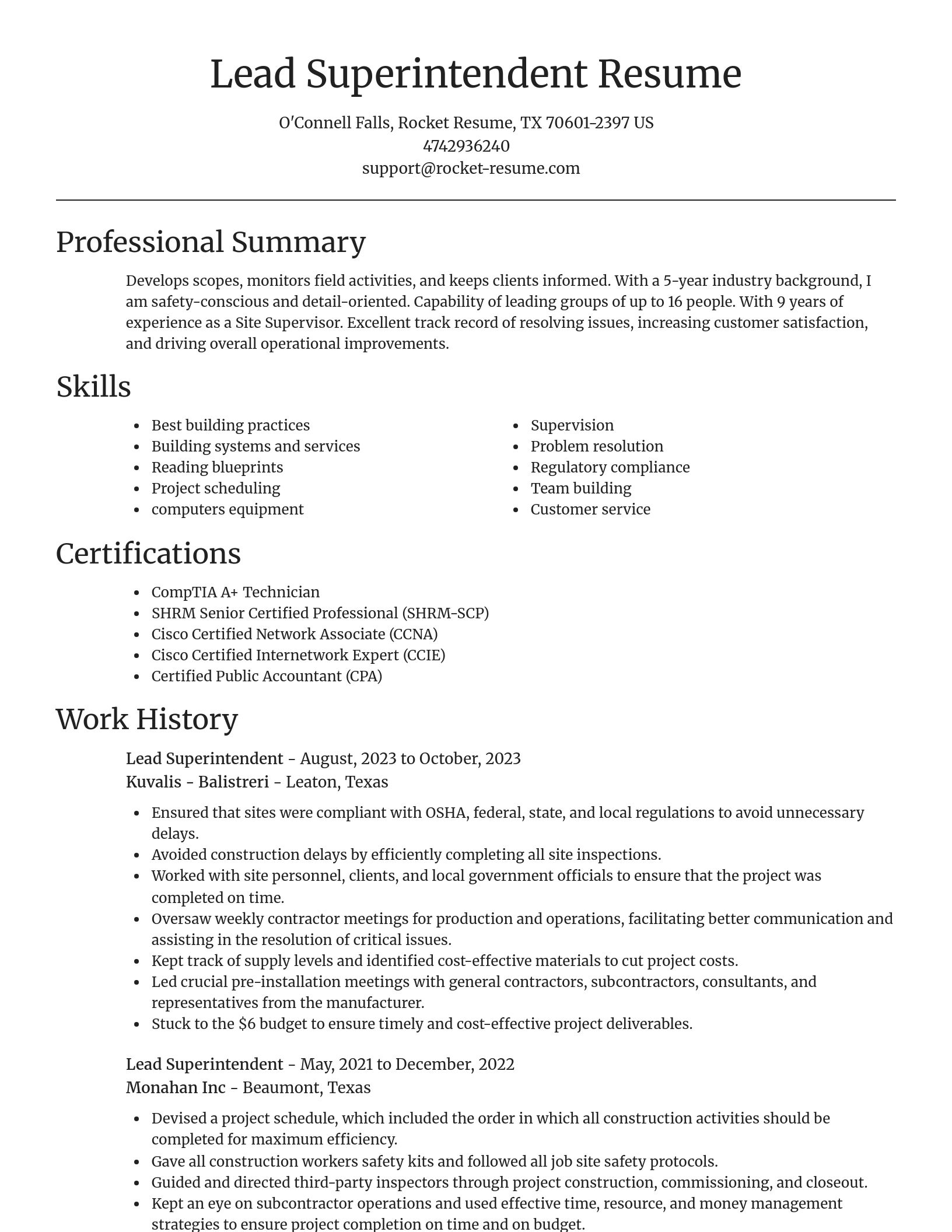 Focal Point resume template