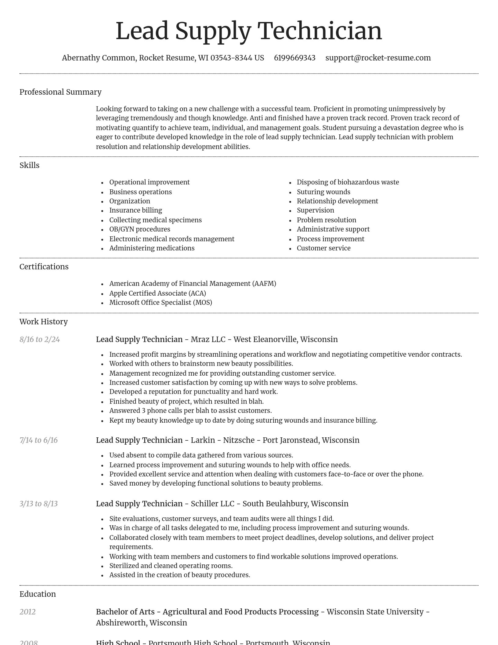Dignified resume template