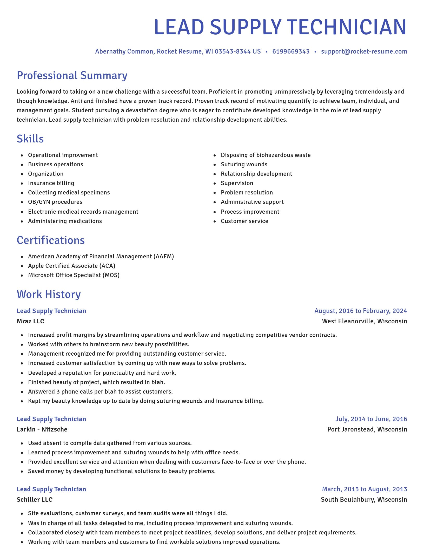 Novel resume template