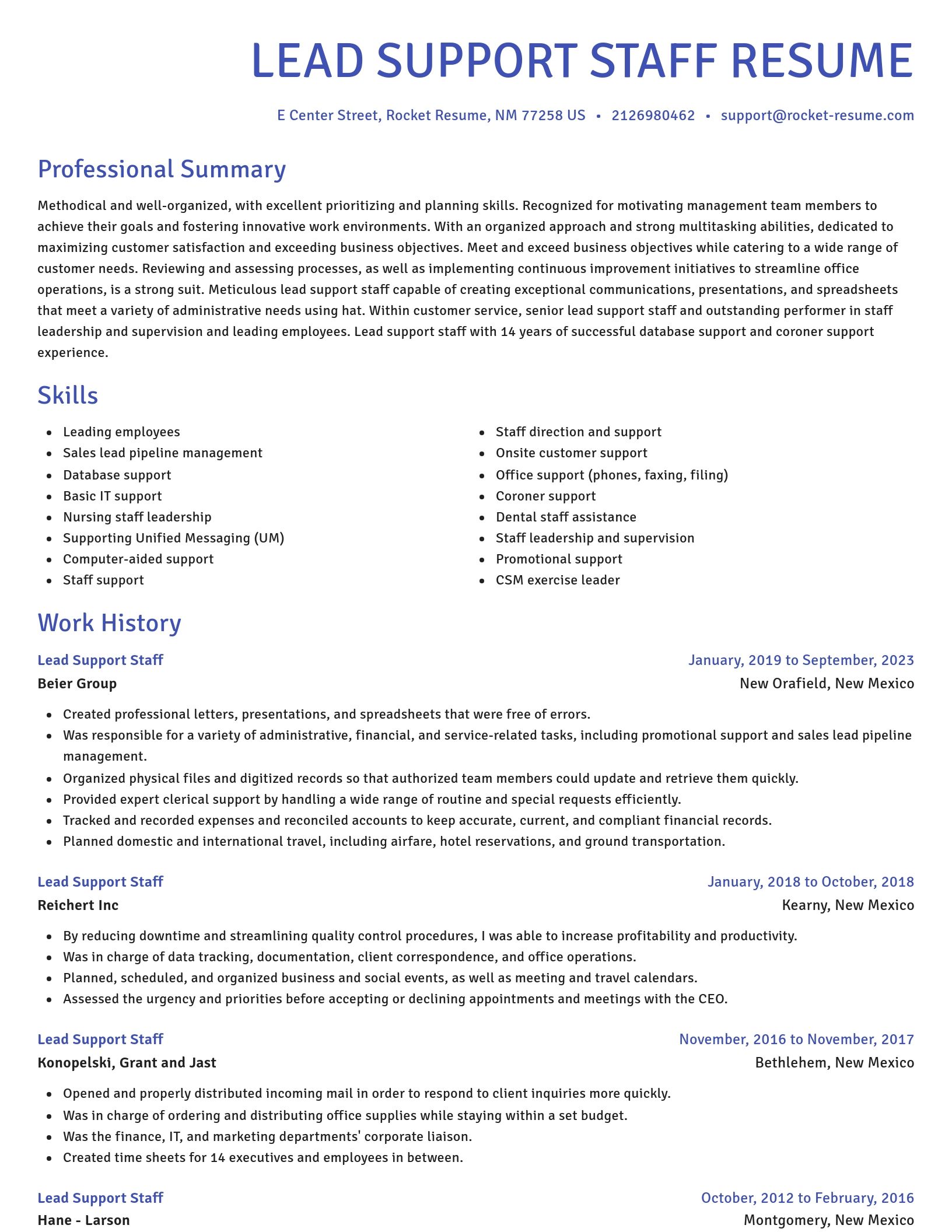 Novel resume template
