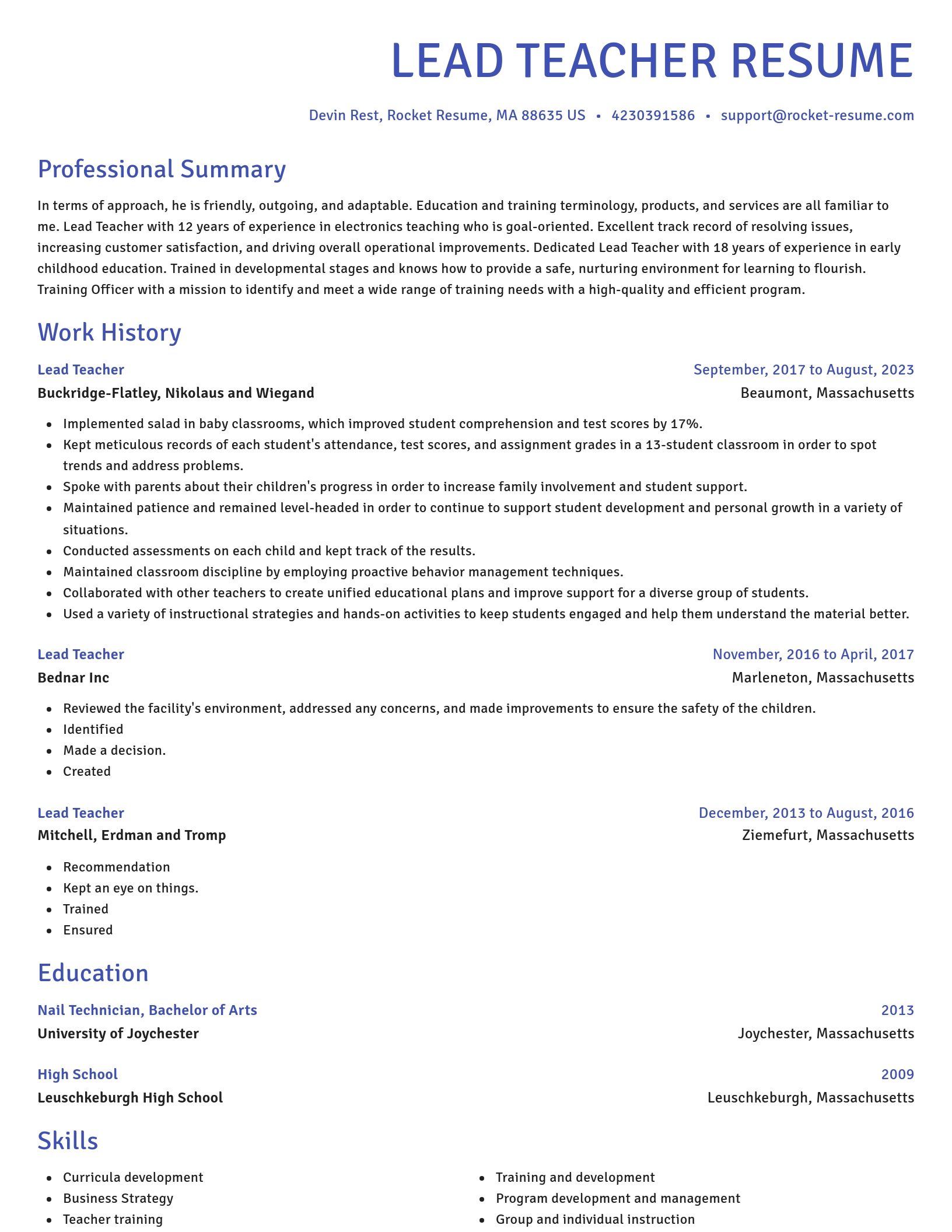Novel resume template