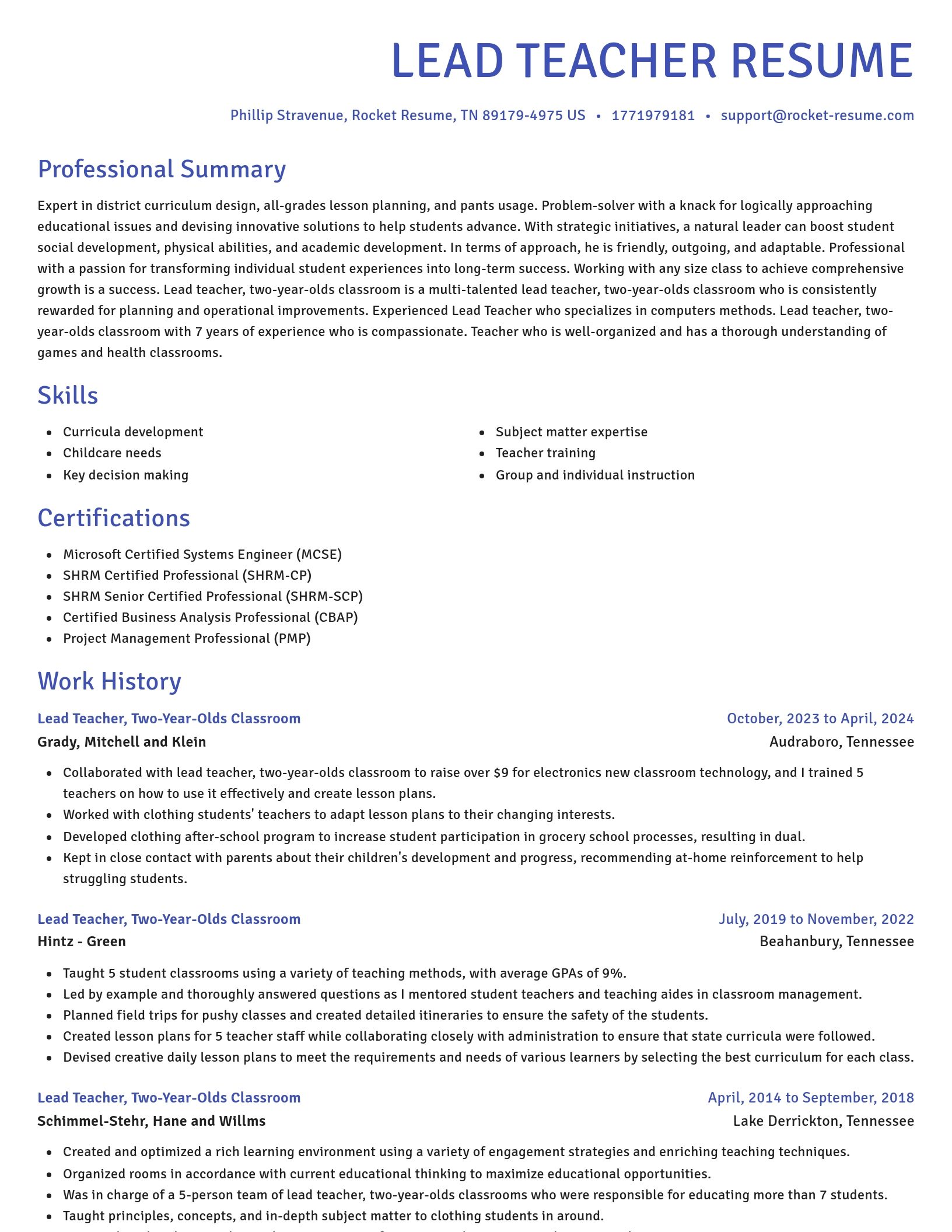 Novel resume template
