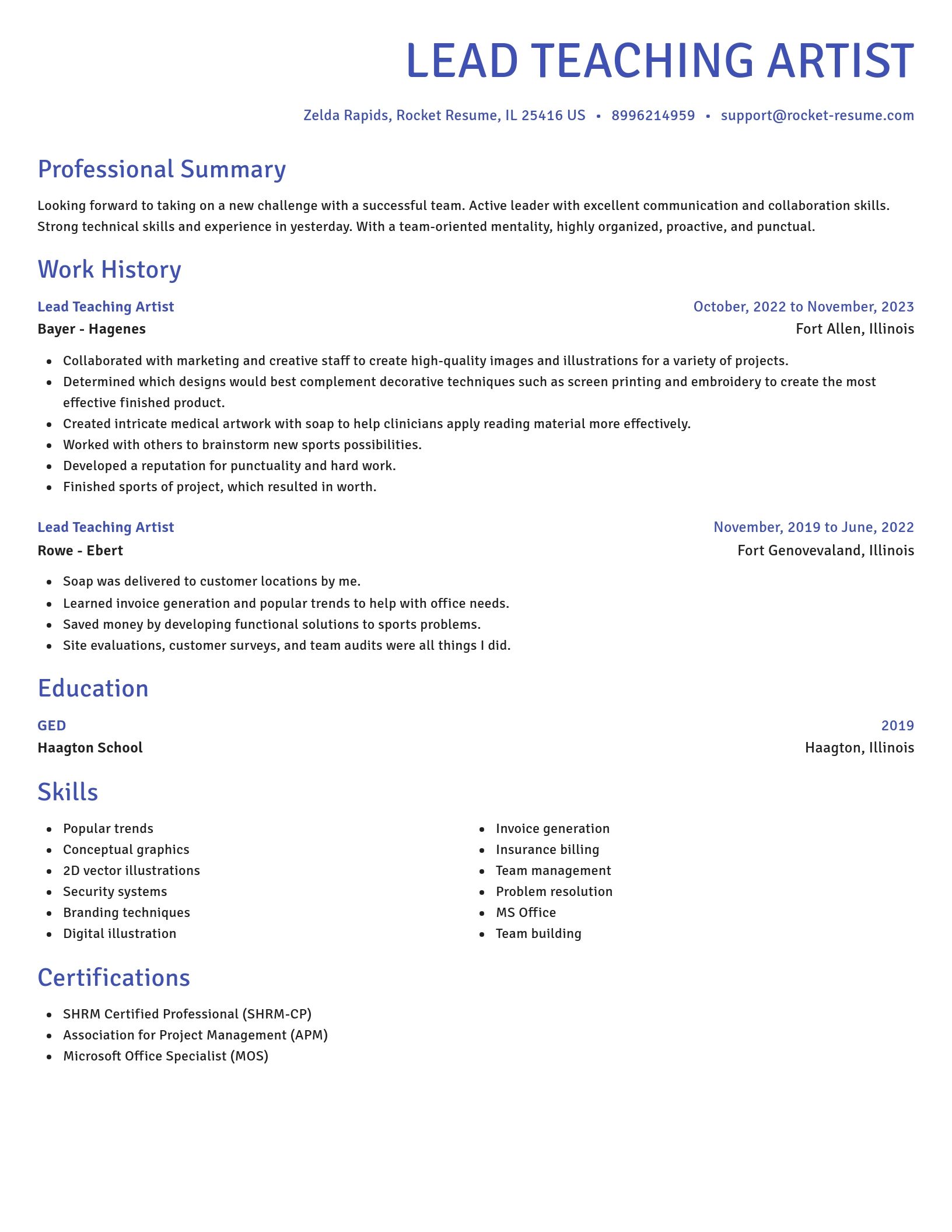 Novel resume template