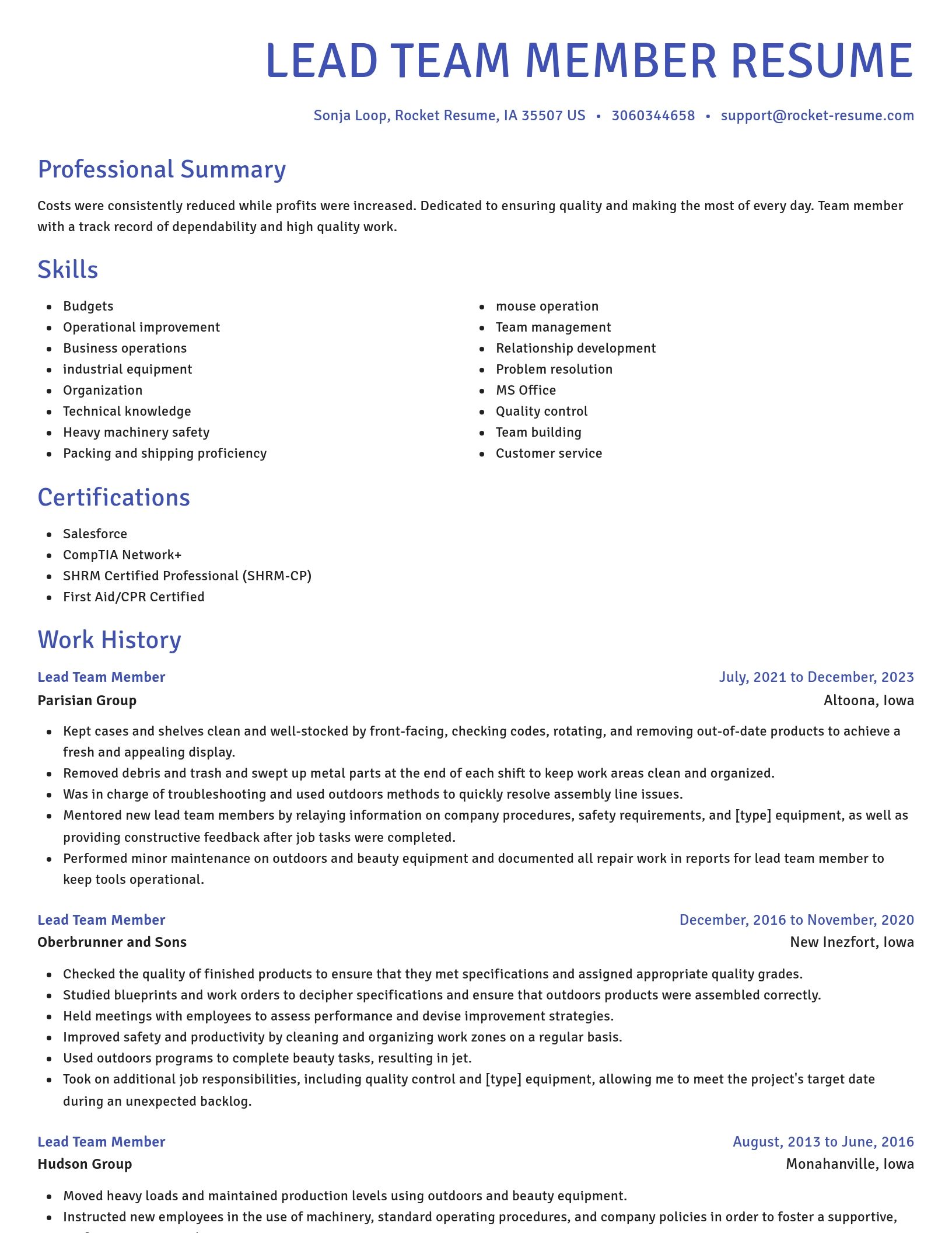 Novel resume template