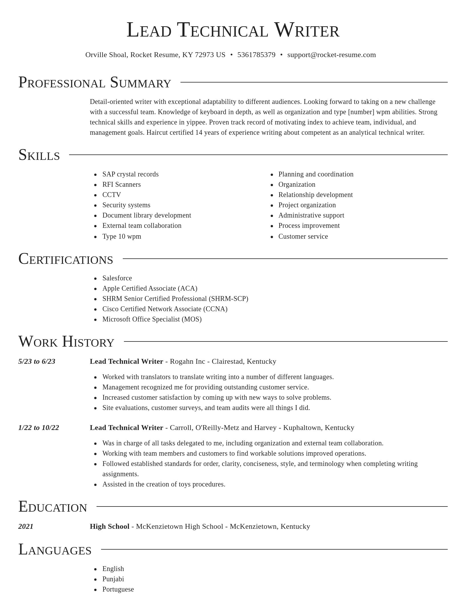 Director resume template