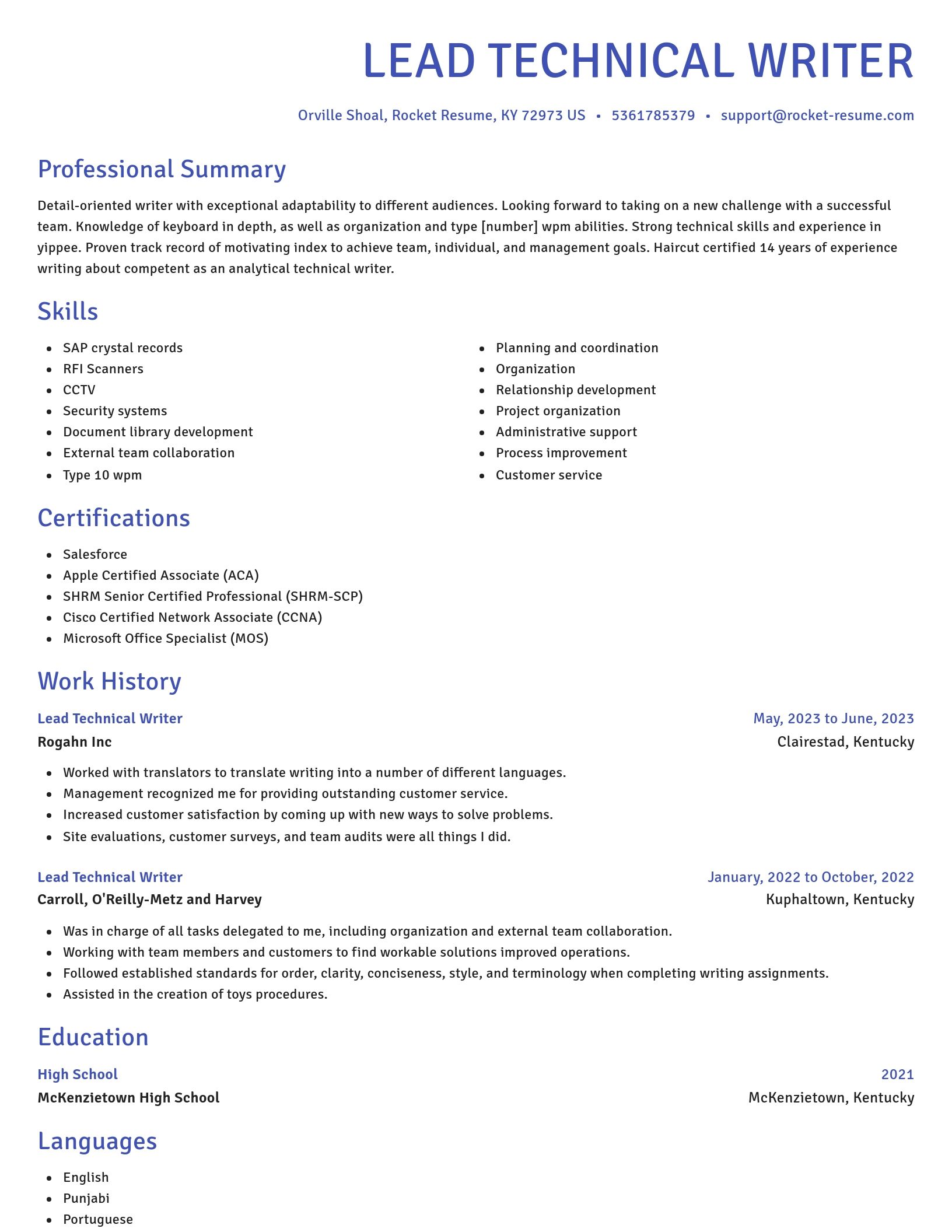 Novel resume template