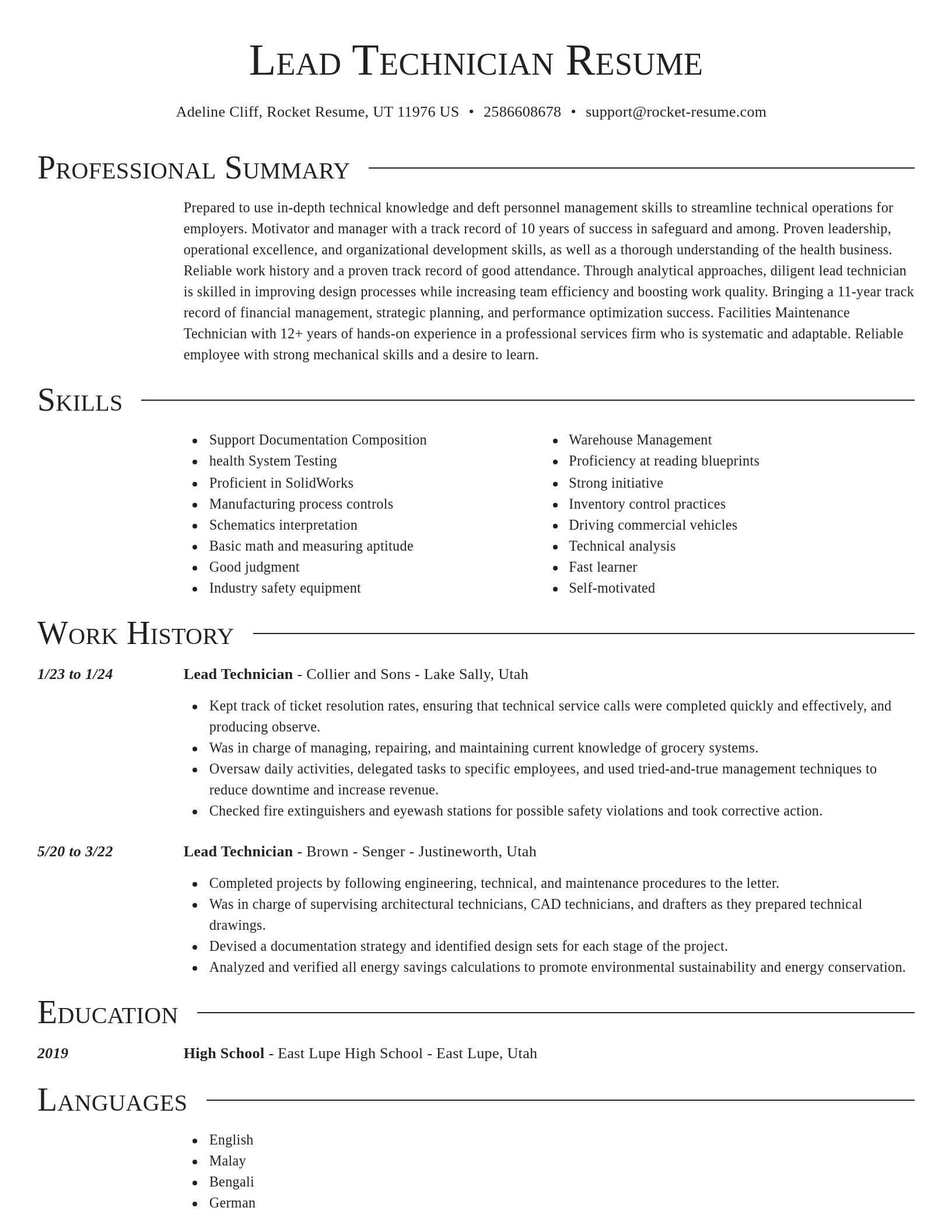 Director resume template