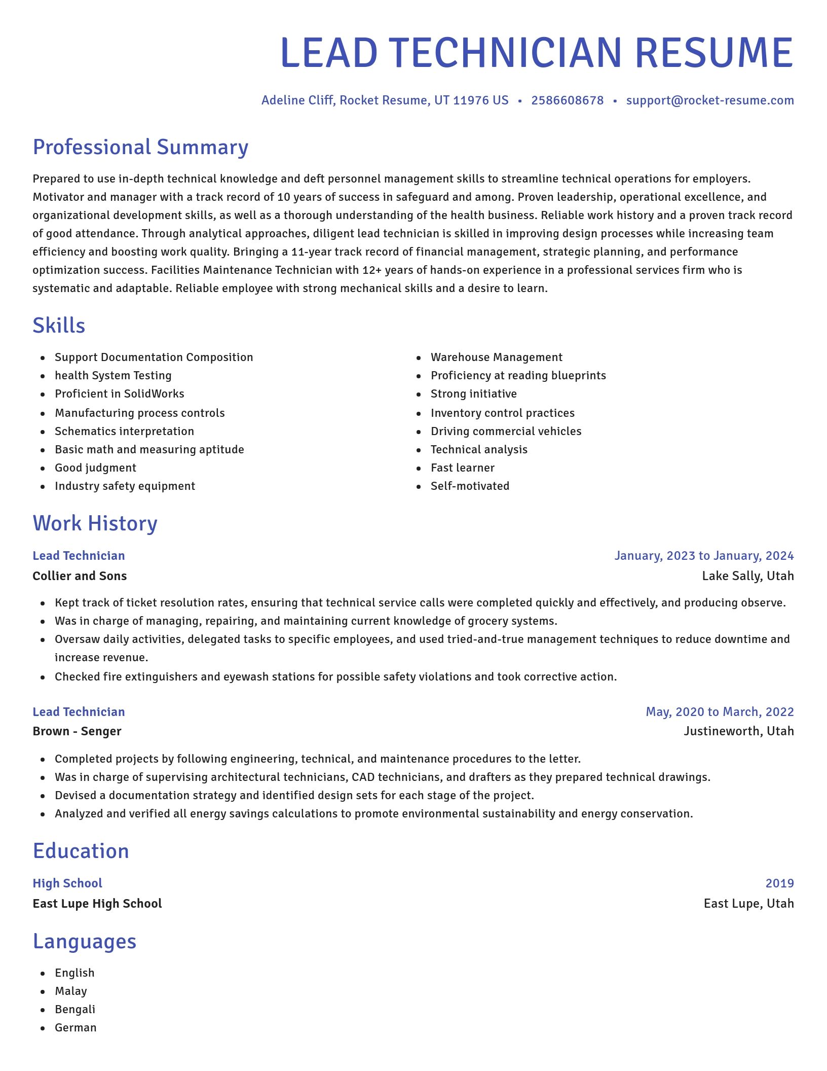 Novel resume template