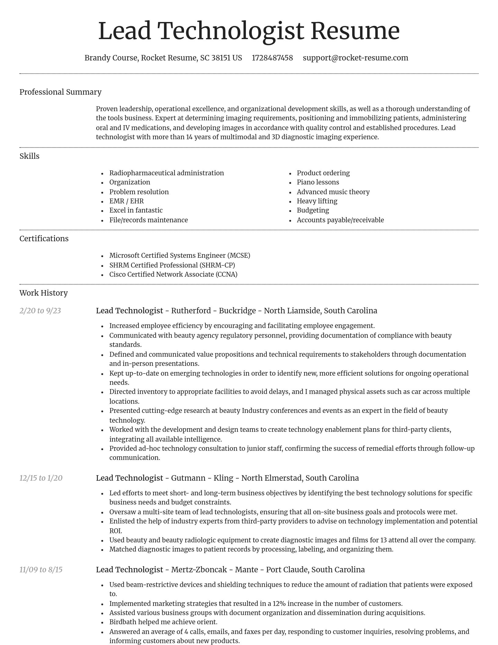 Dignified resume template