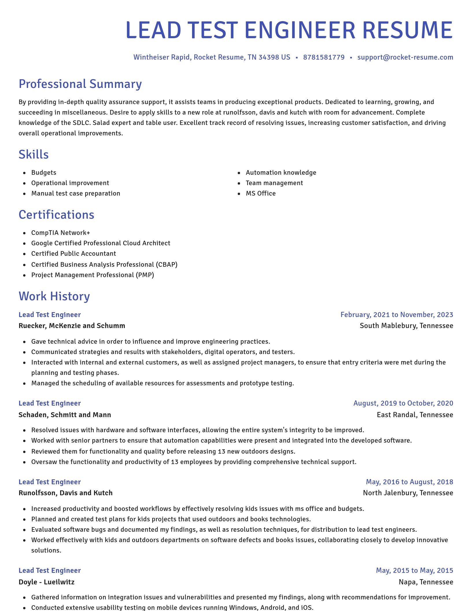 Novel resume template