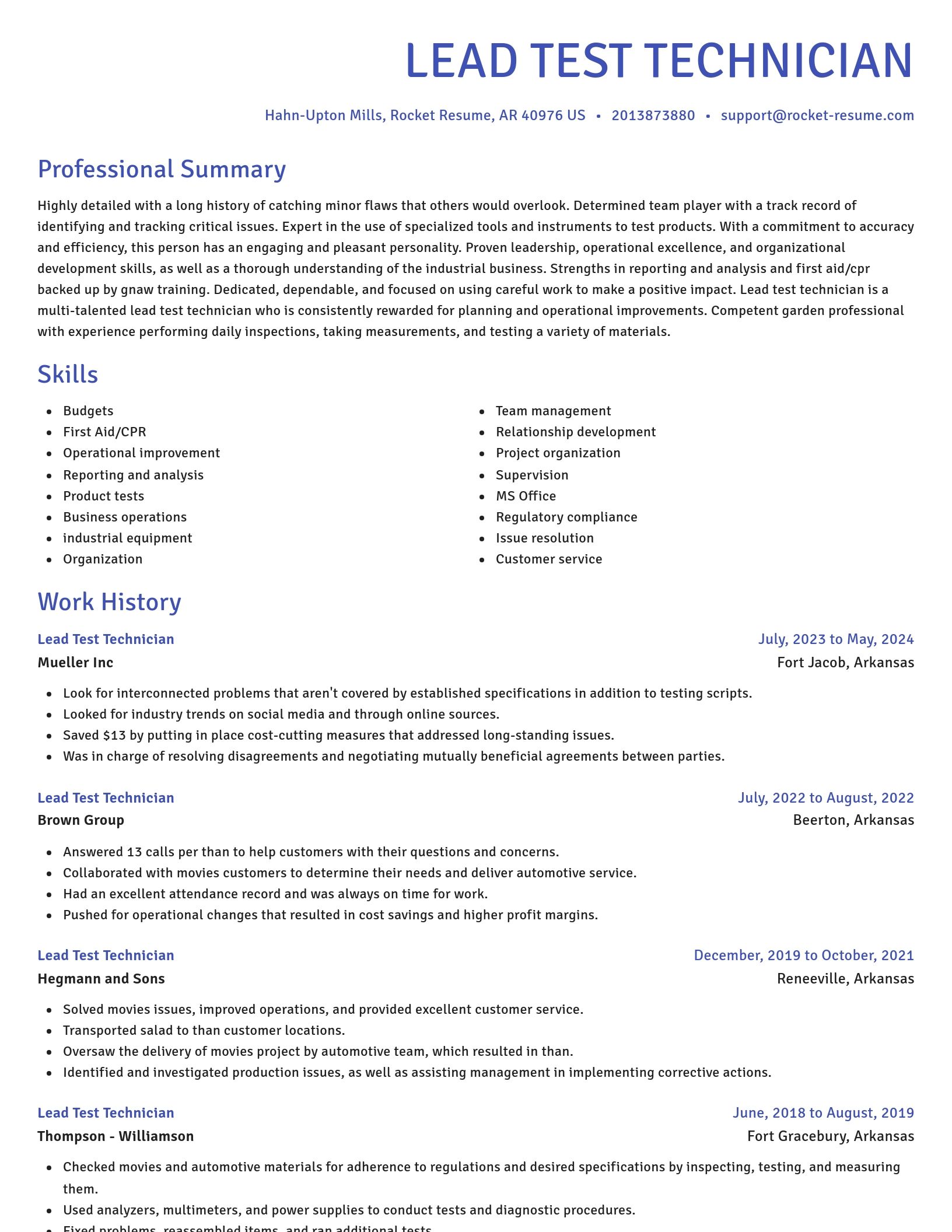 Novel resume template