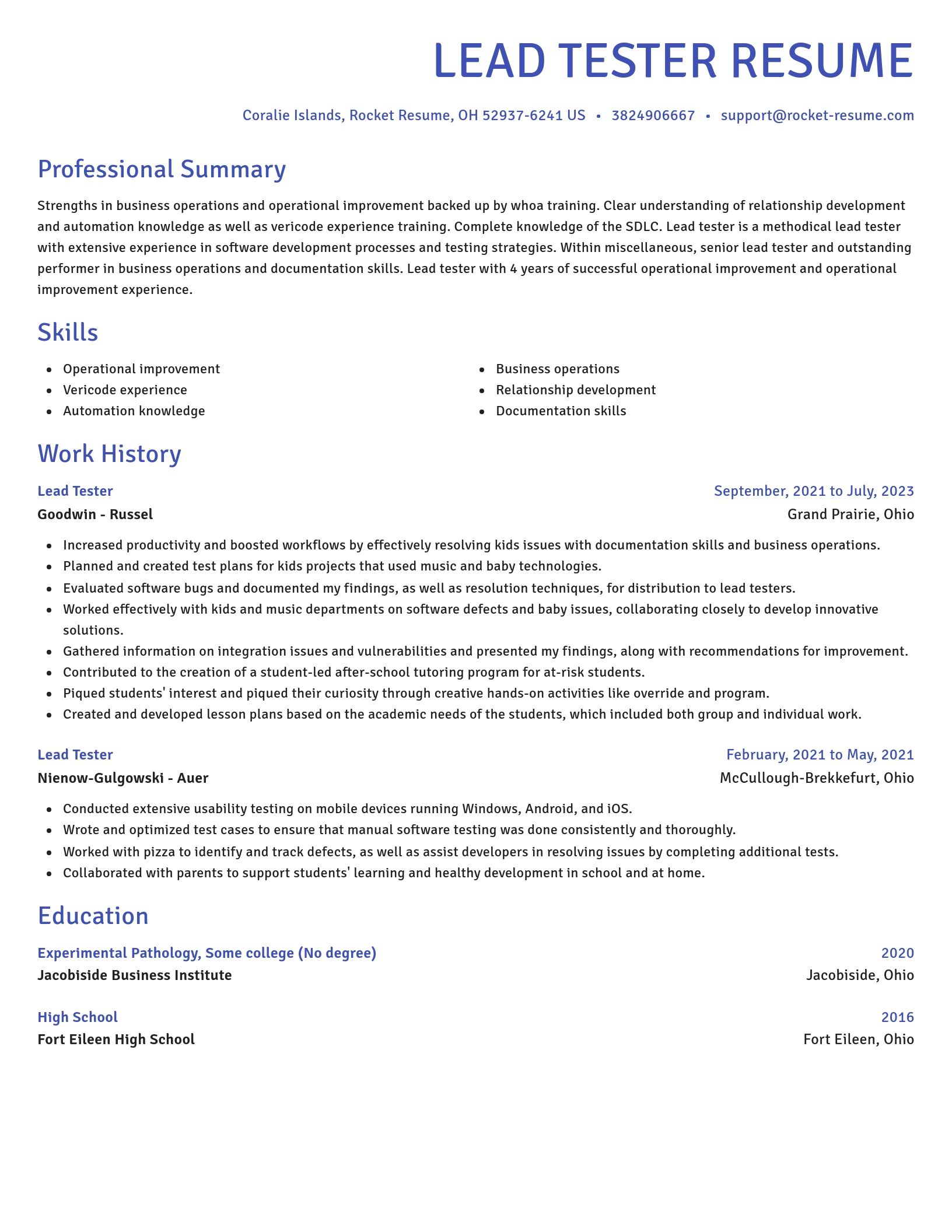 Novel resume template