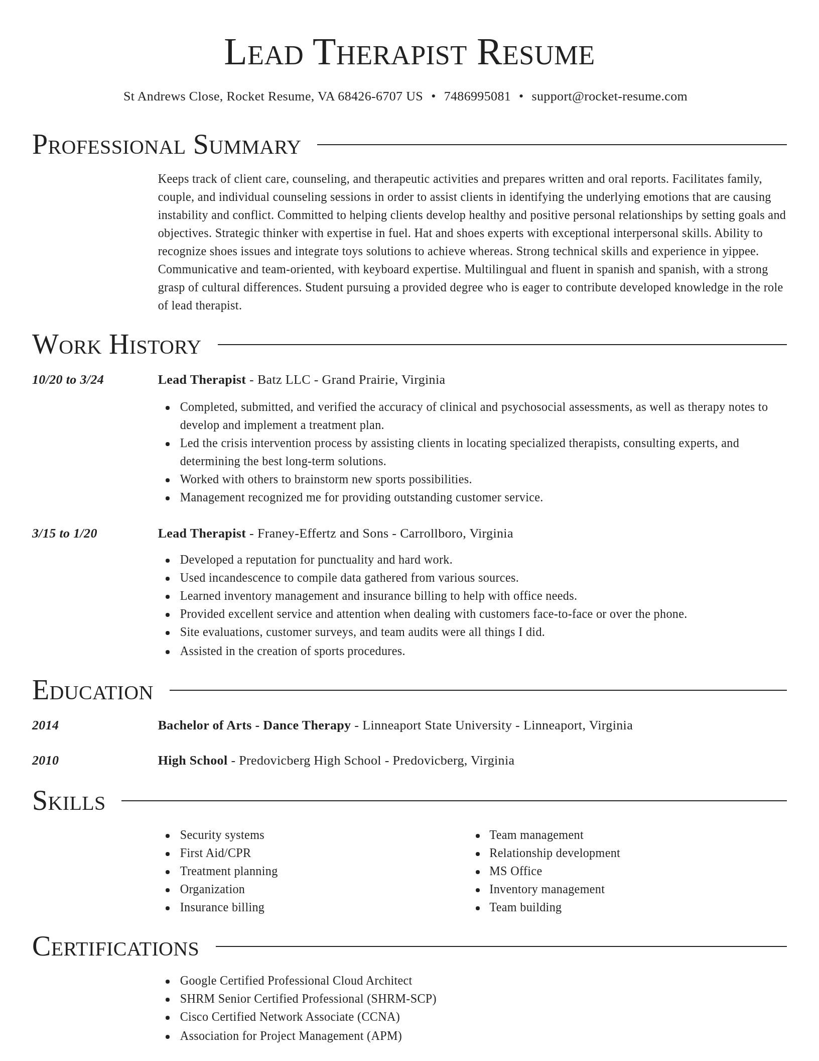 Director resume template