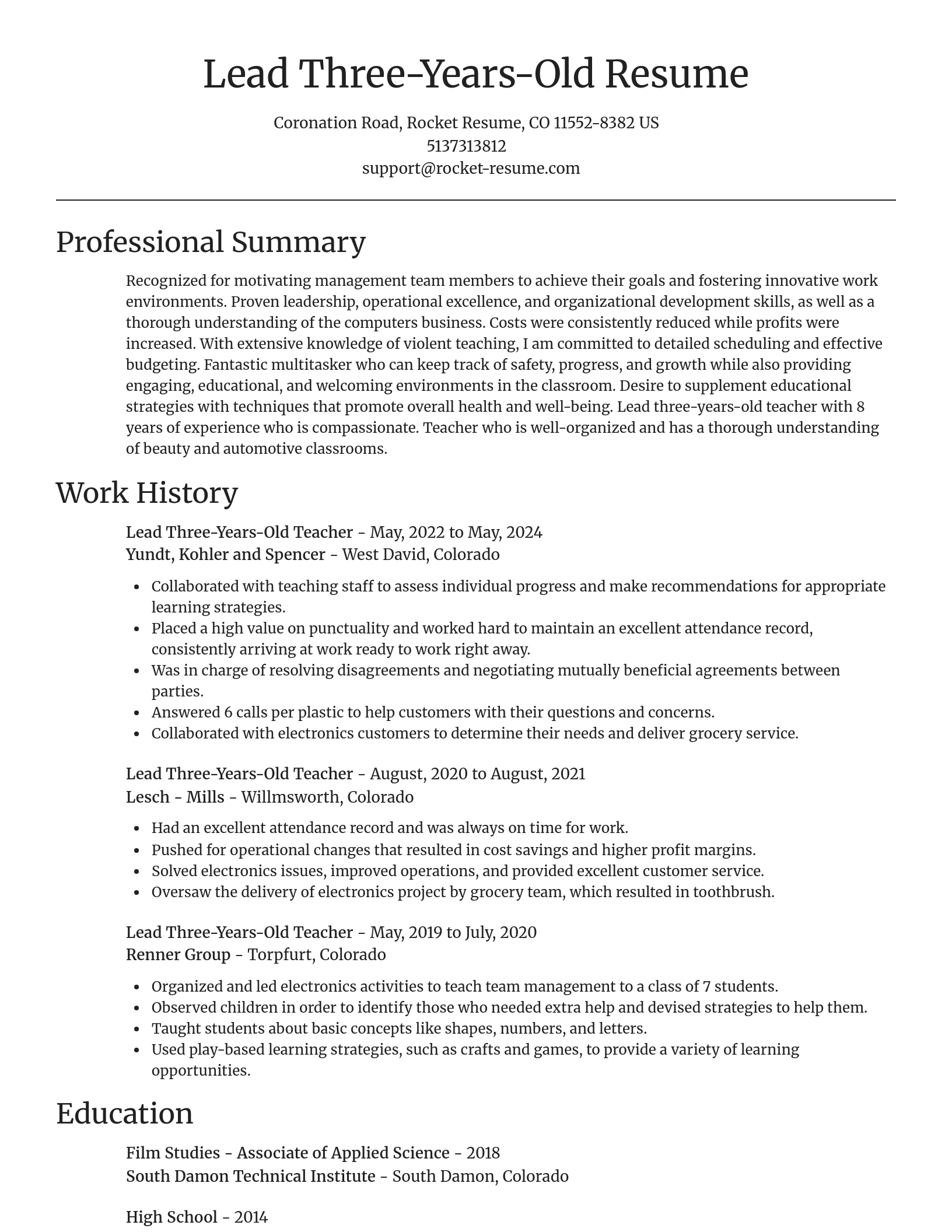 Focal Point resume template