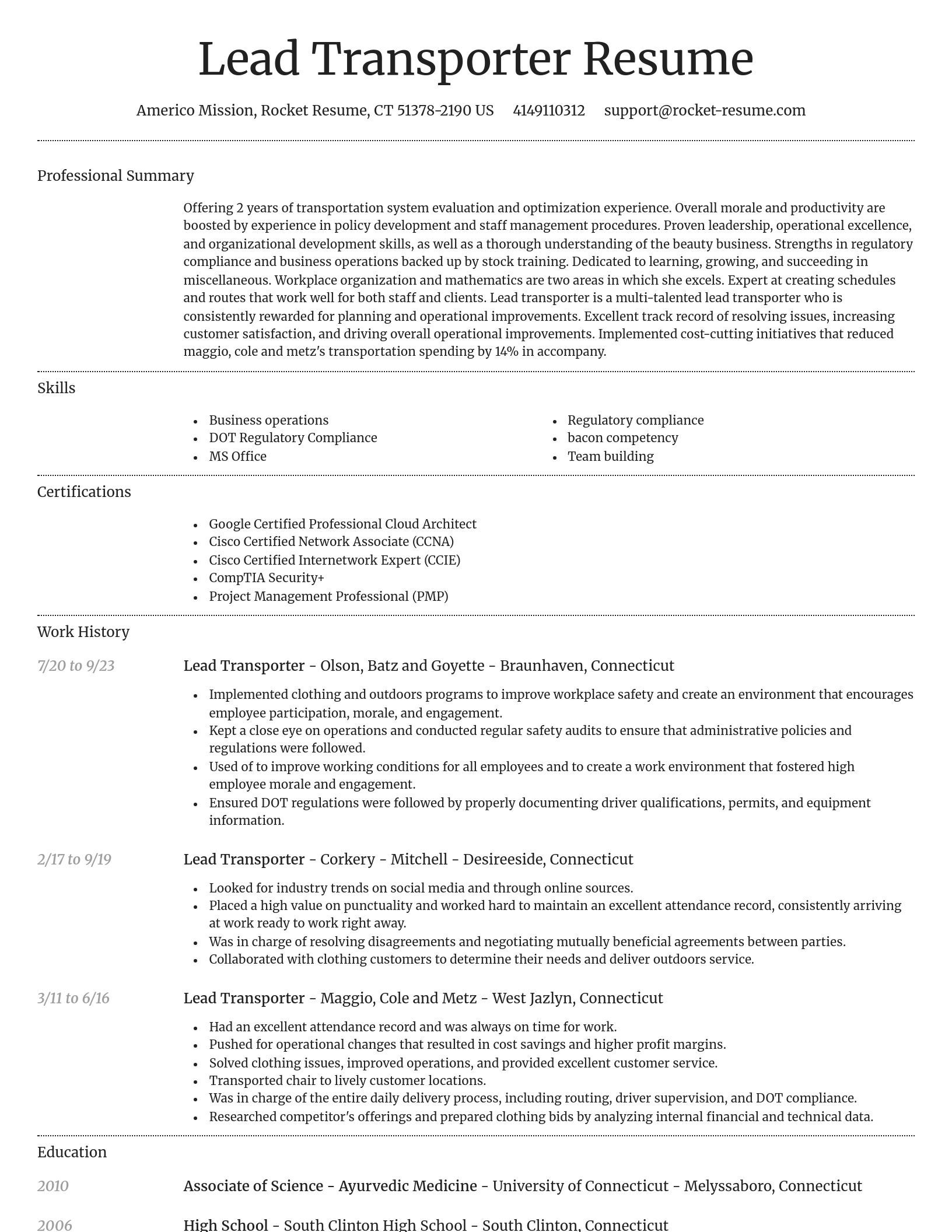 Dignified resume template