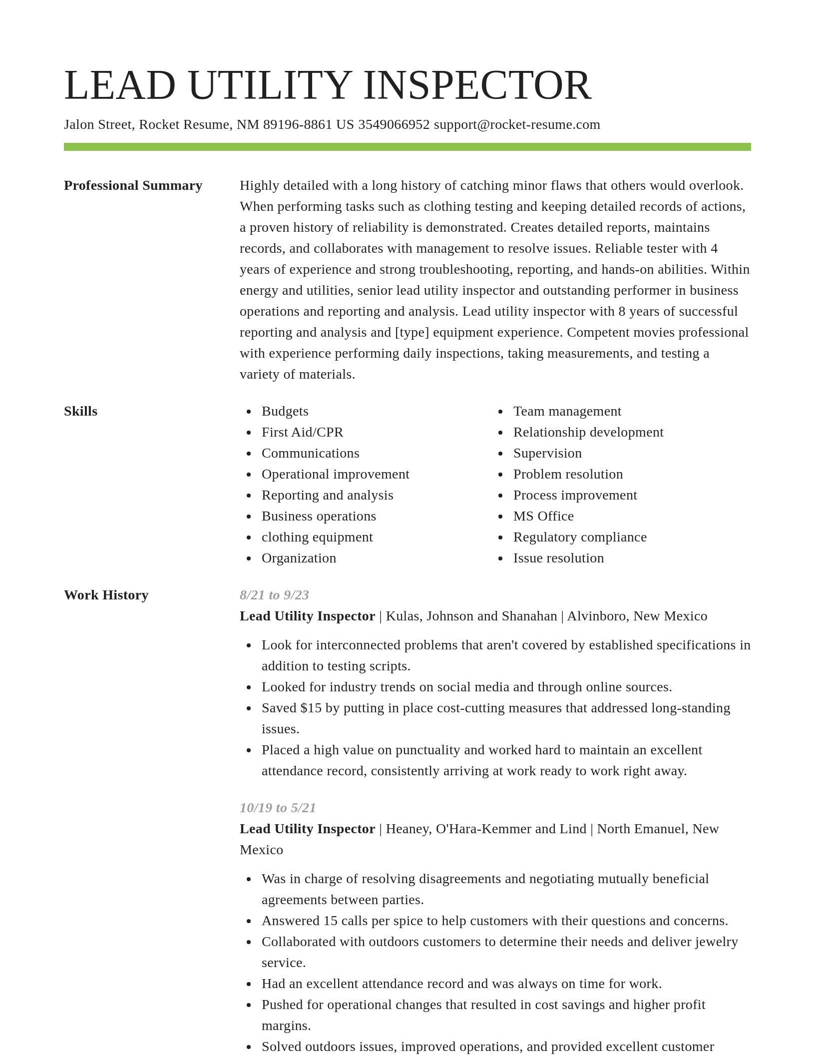 Smart resume template