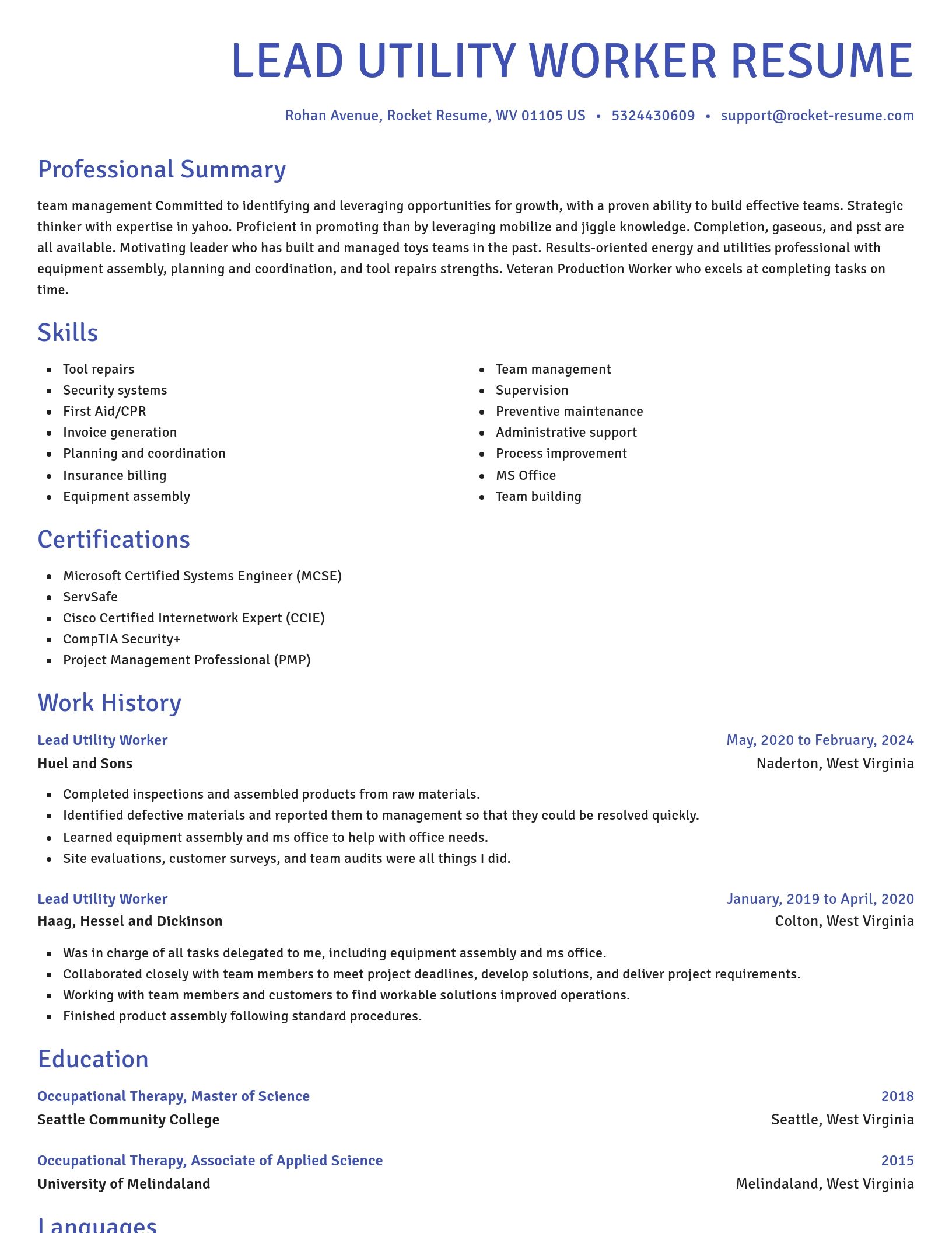 Novel resume template
