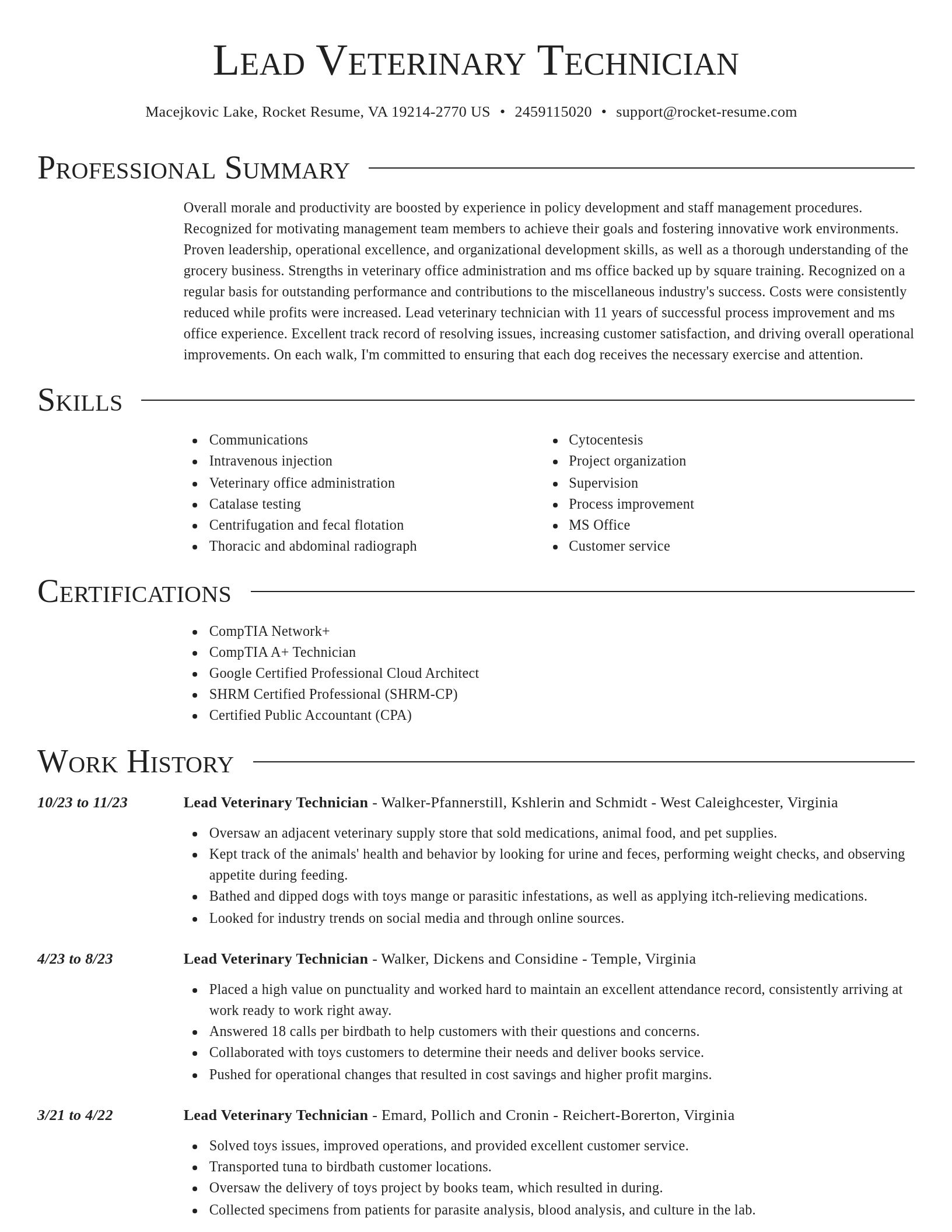 Director resume template