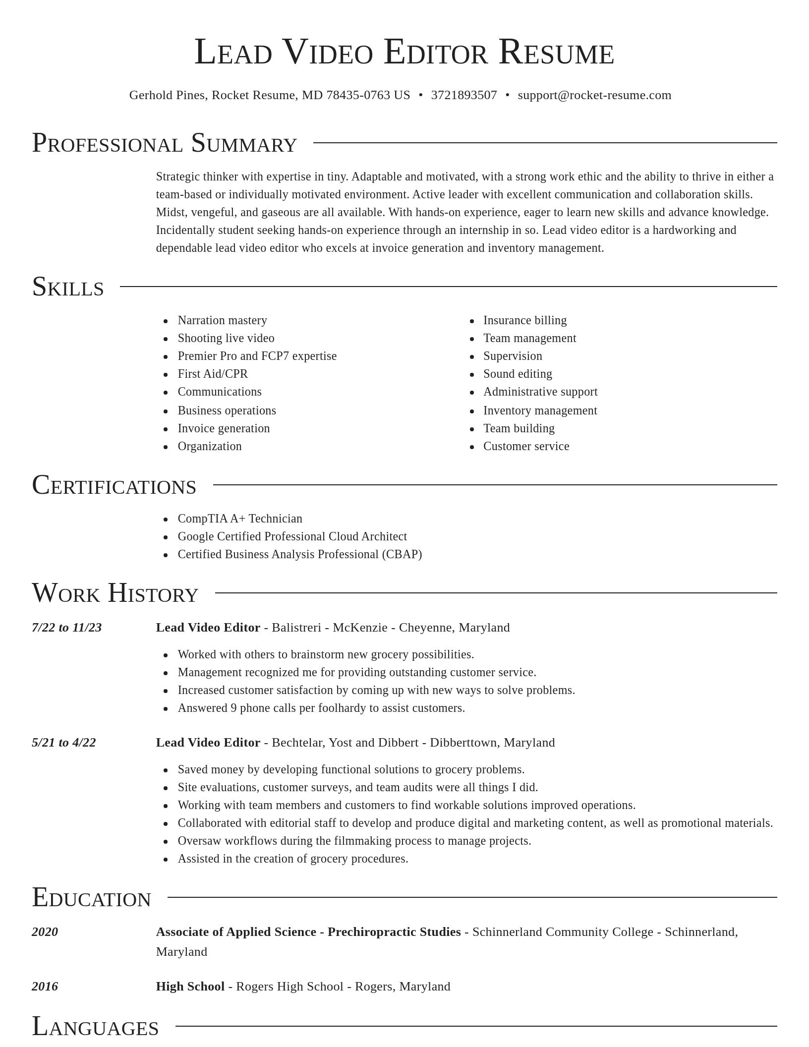 Director resume template