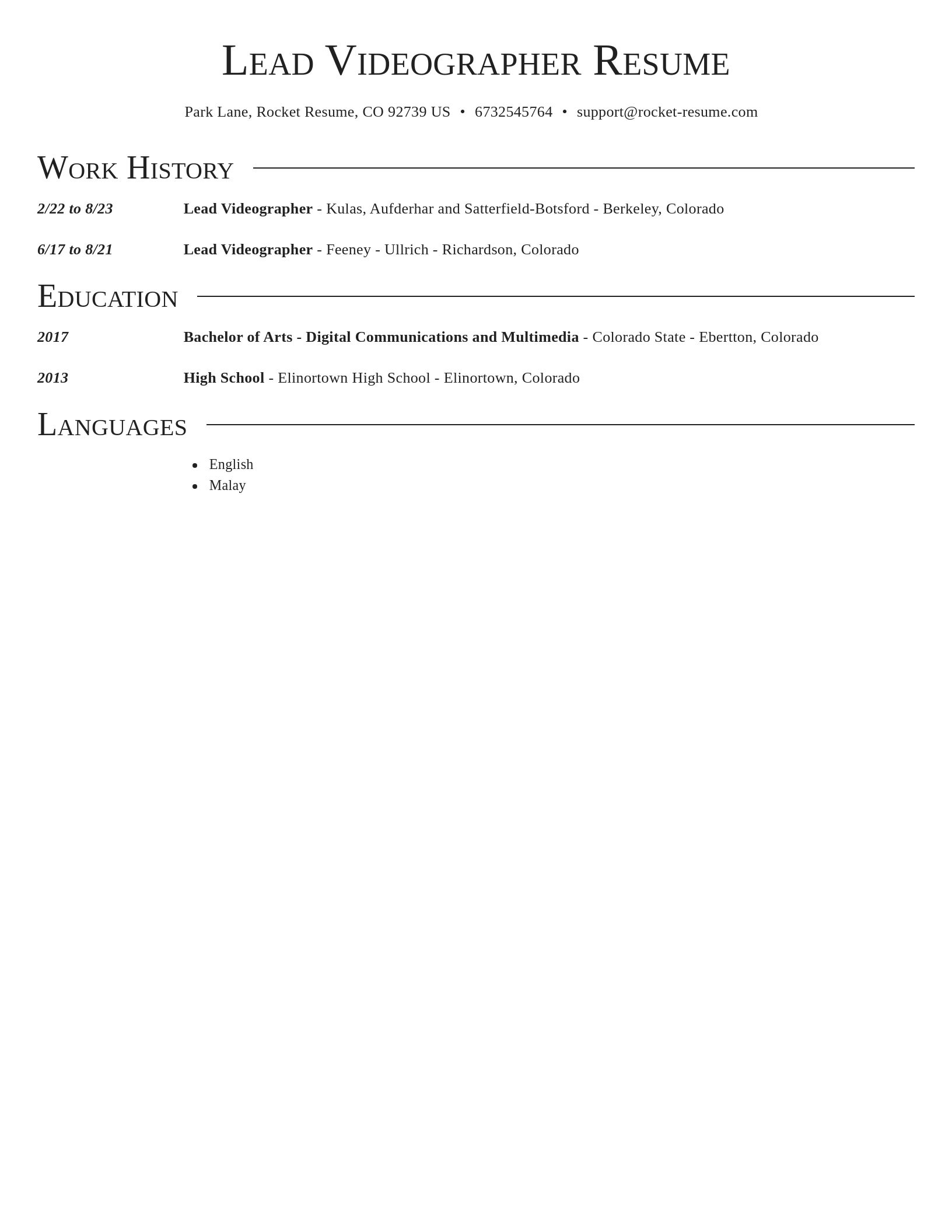 Director resume template