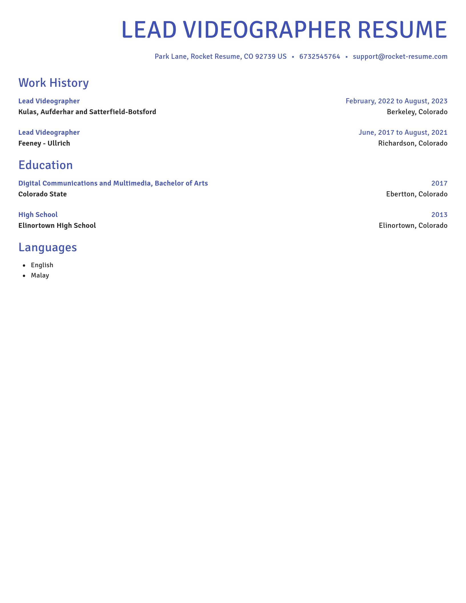 Novel resume template