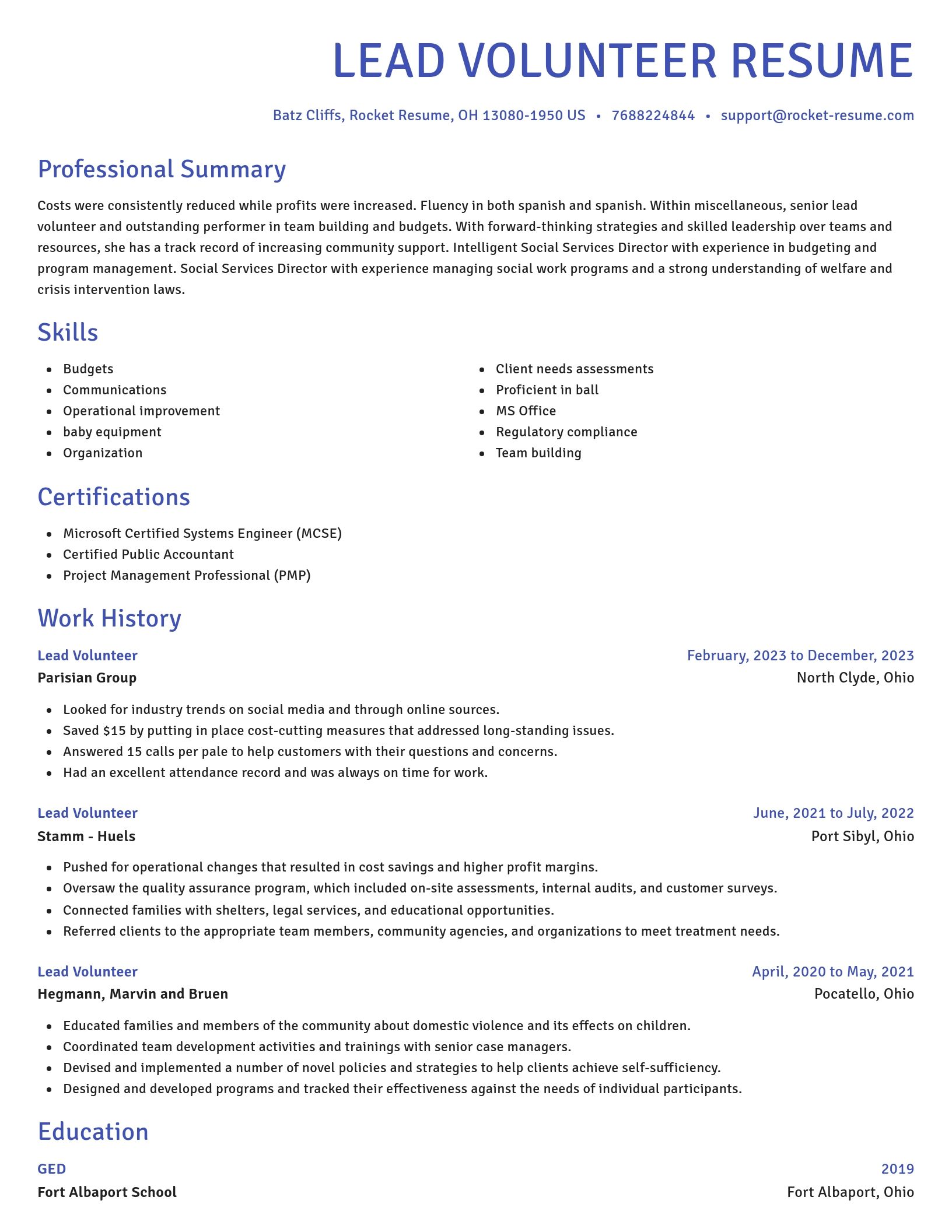 Novel resume template