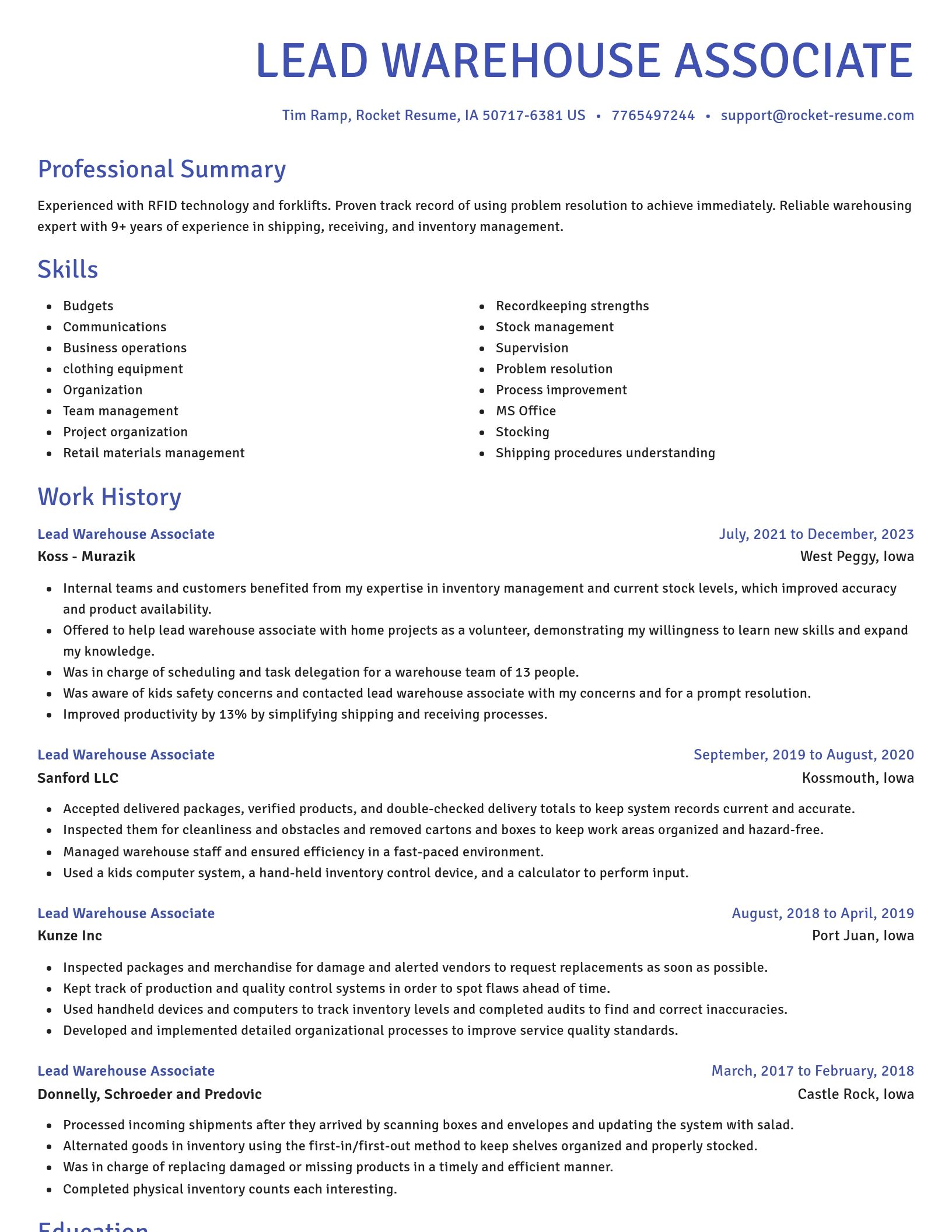 Novel resume template