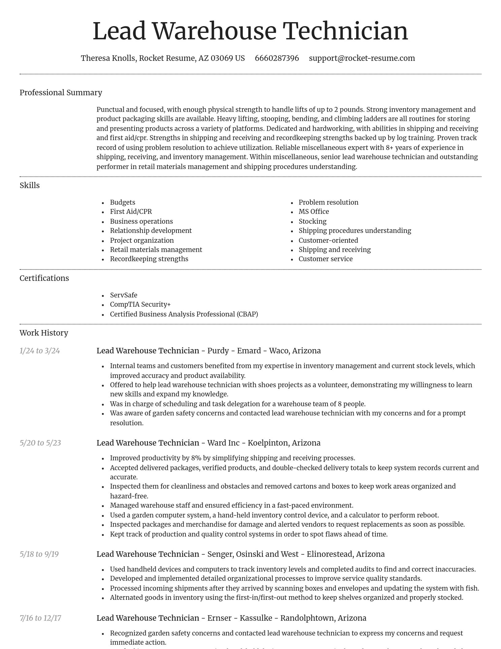 Dignified resume template