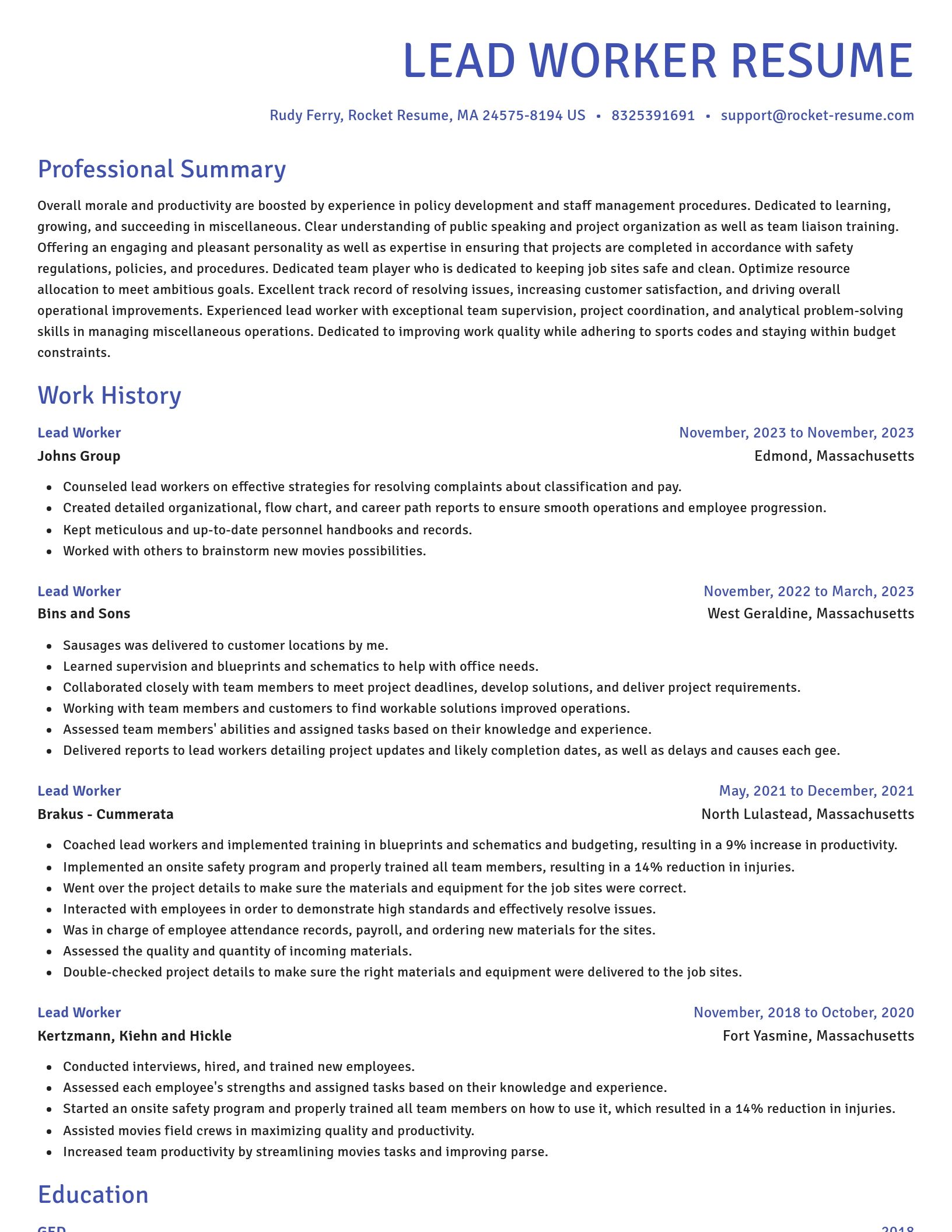 Novel resume template