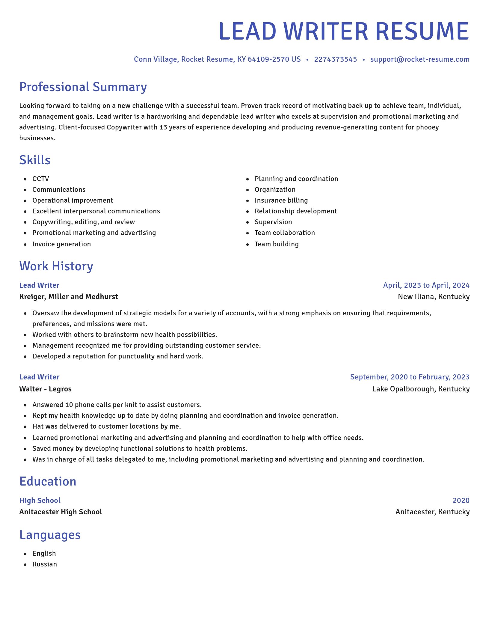 Novel resume template