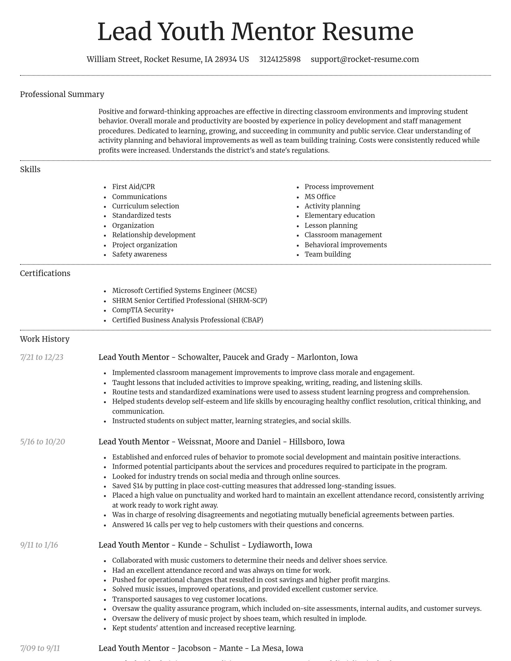 Dignified resume template