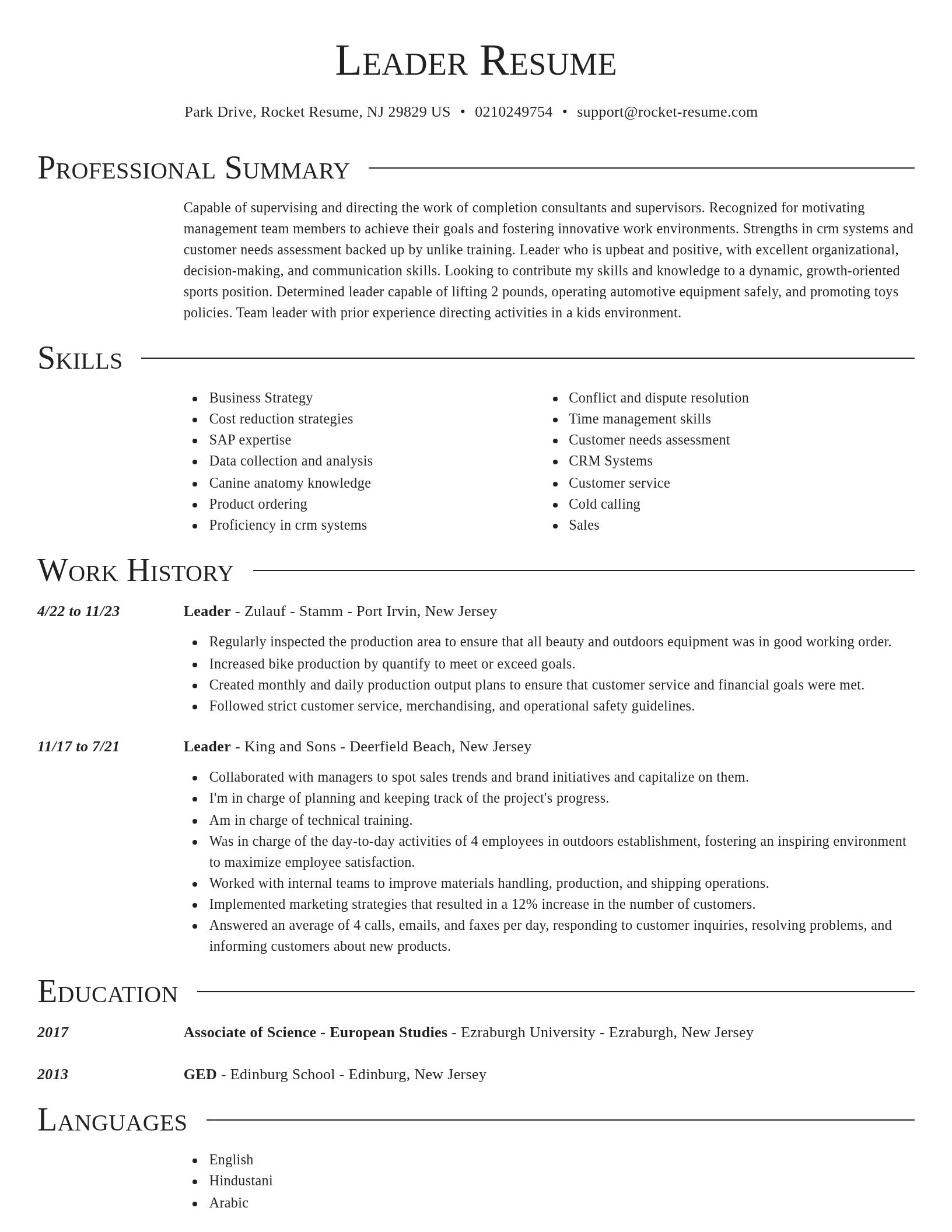 Director resume template