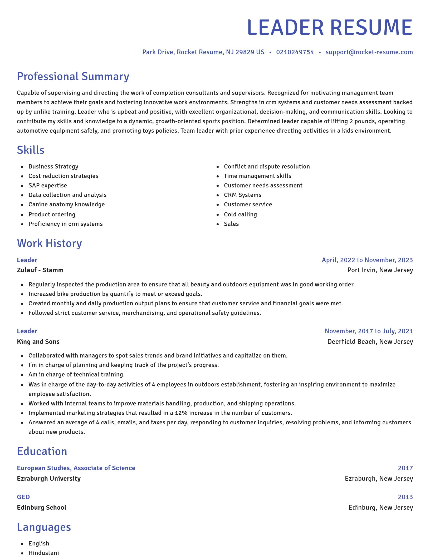 Novel resume template