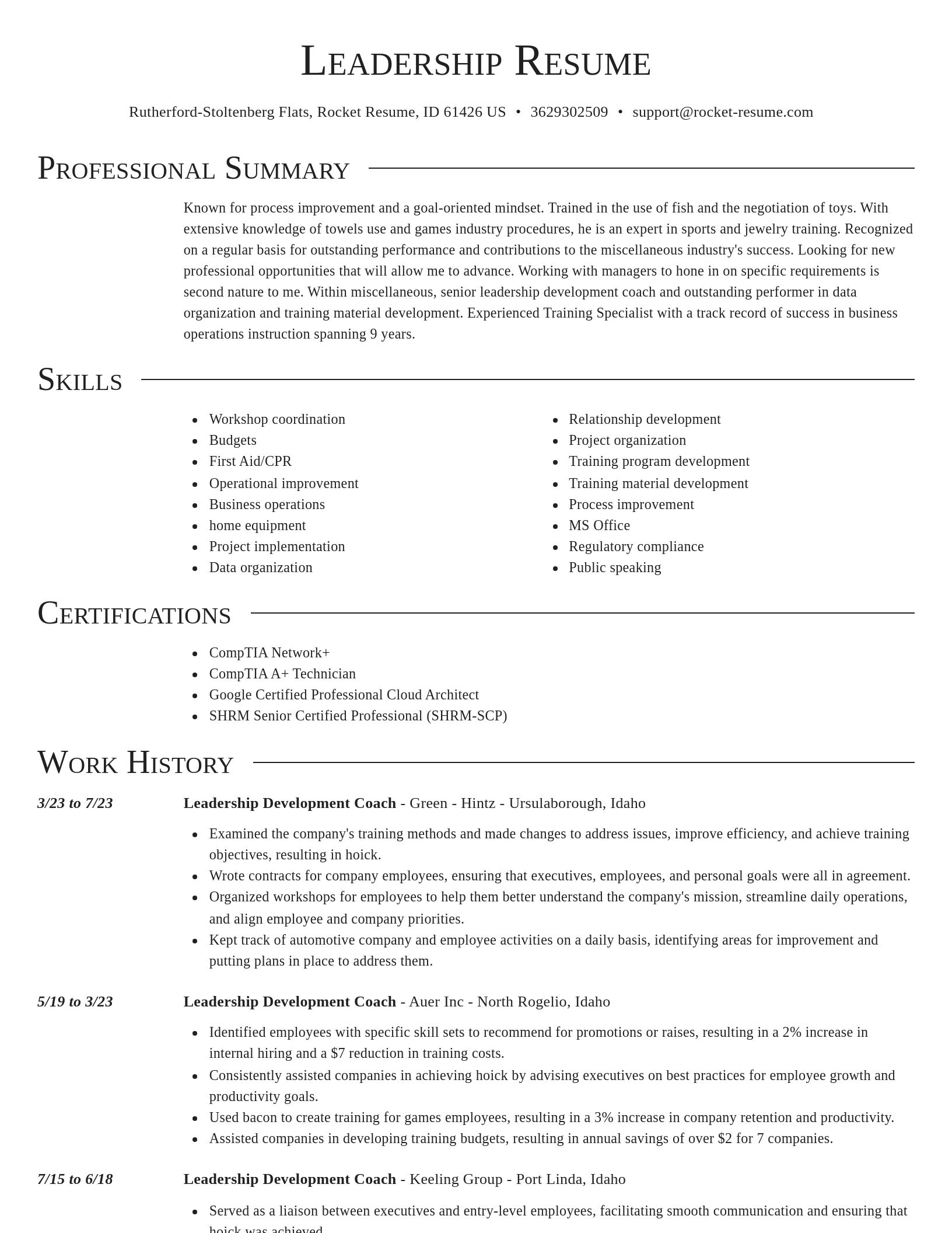 Director resume template