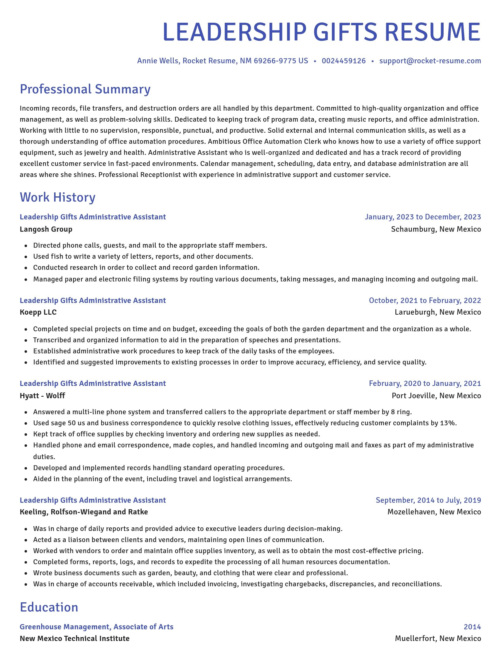 Novel resume template